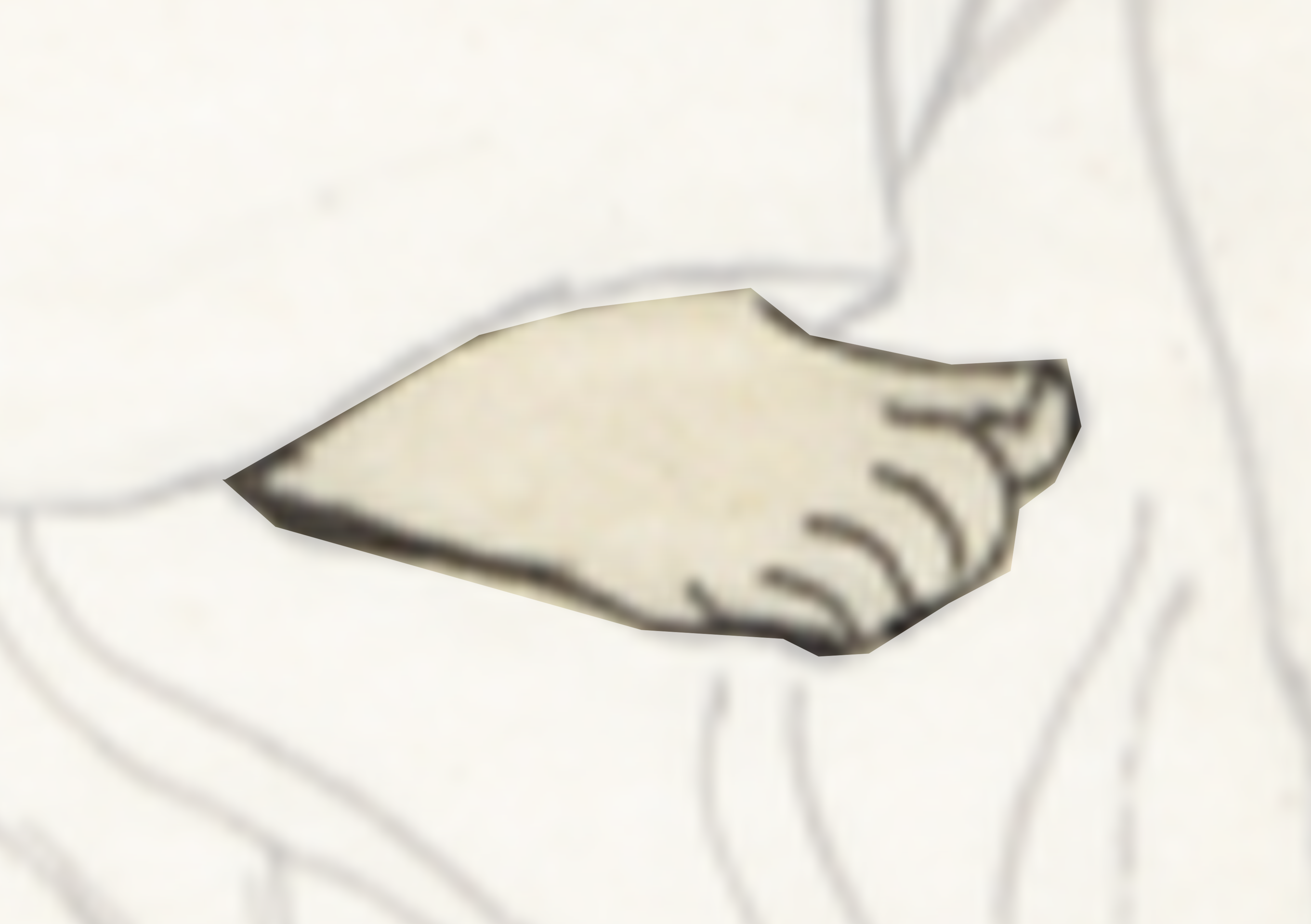 Piece Of Paper With A Drawing Of A Leaf