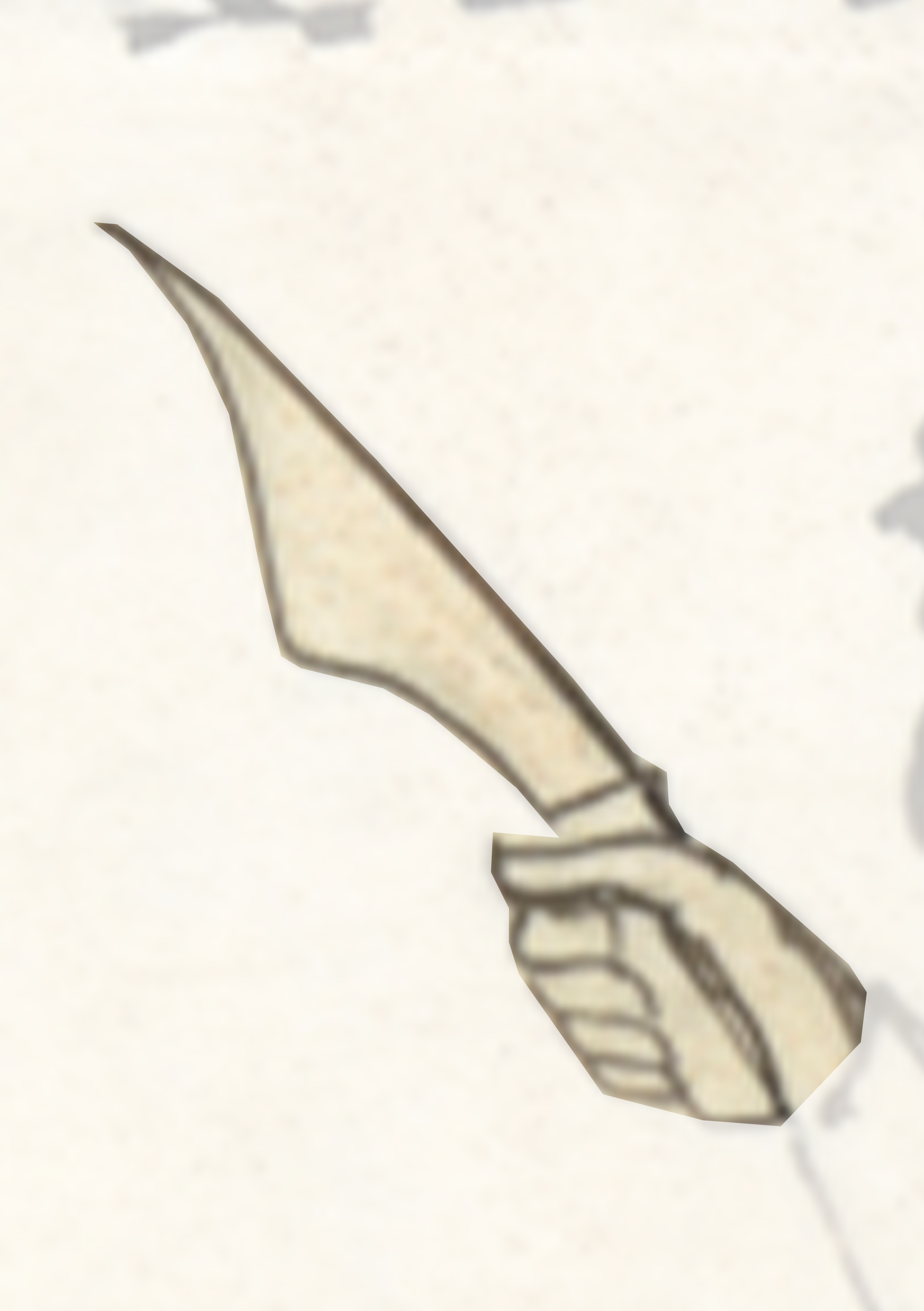 Knife With A Long Blade On It