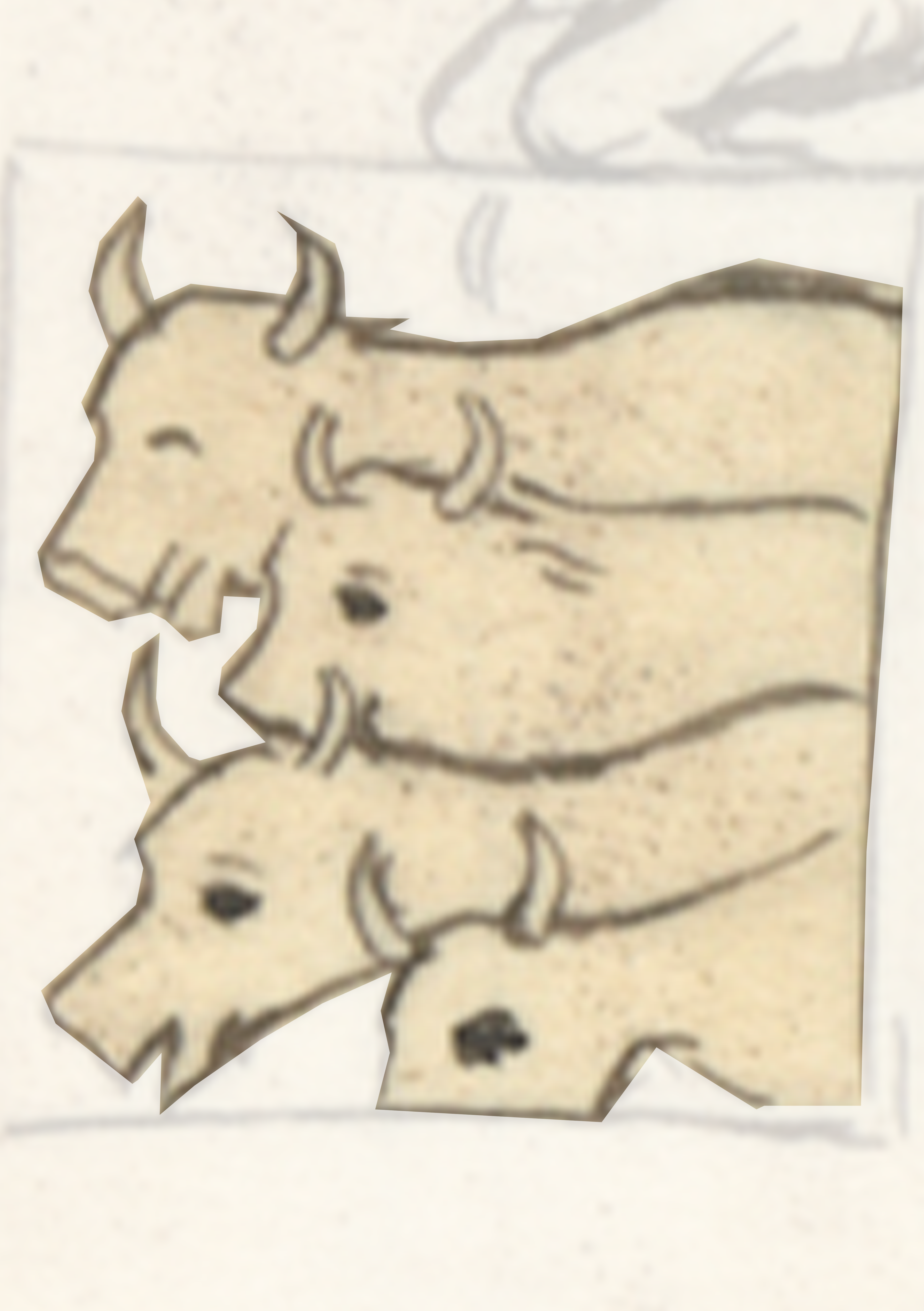 Drawing Of A Cow With A White Background