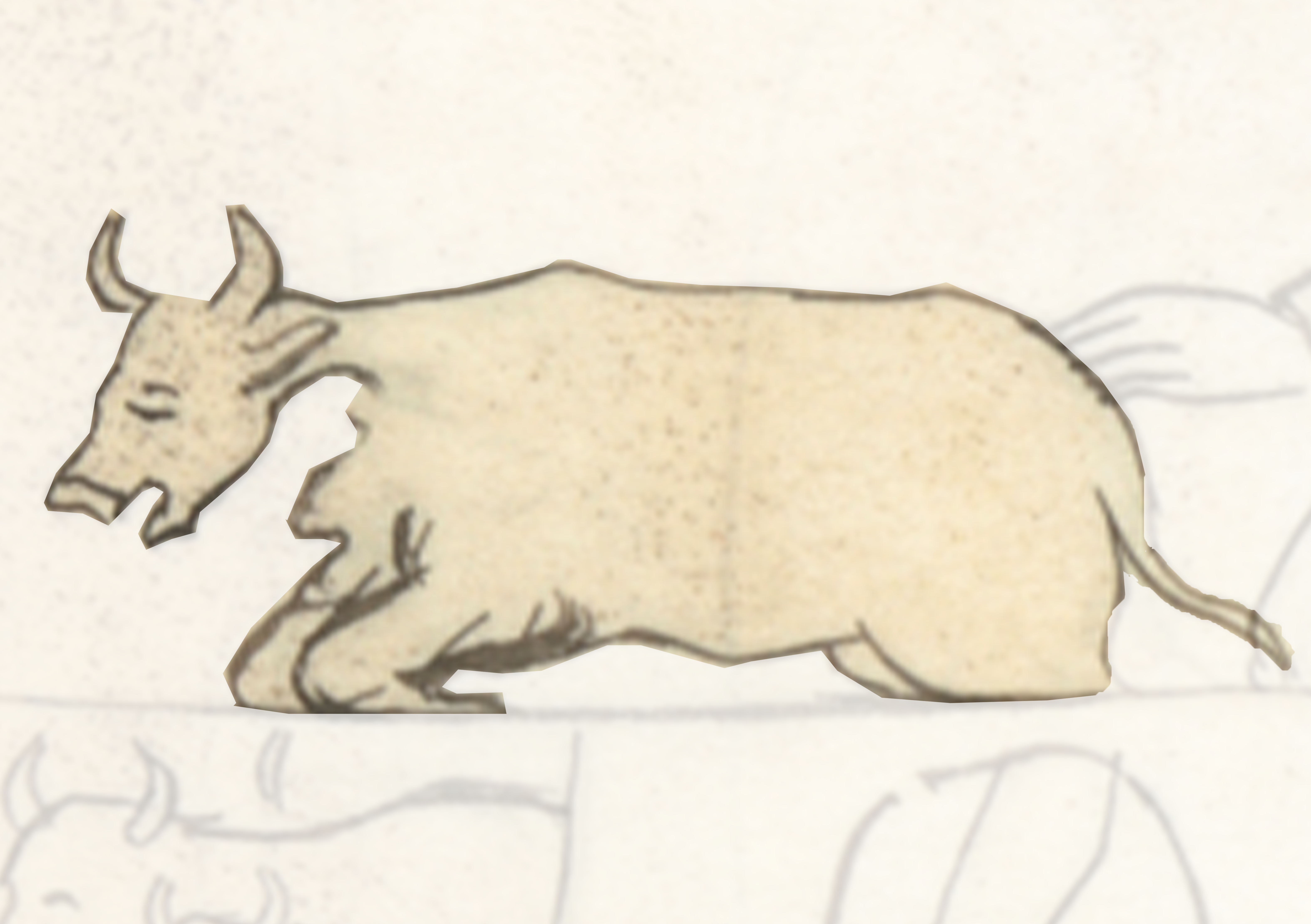 Drawing Of A Goat