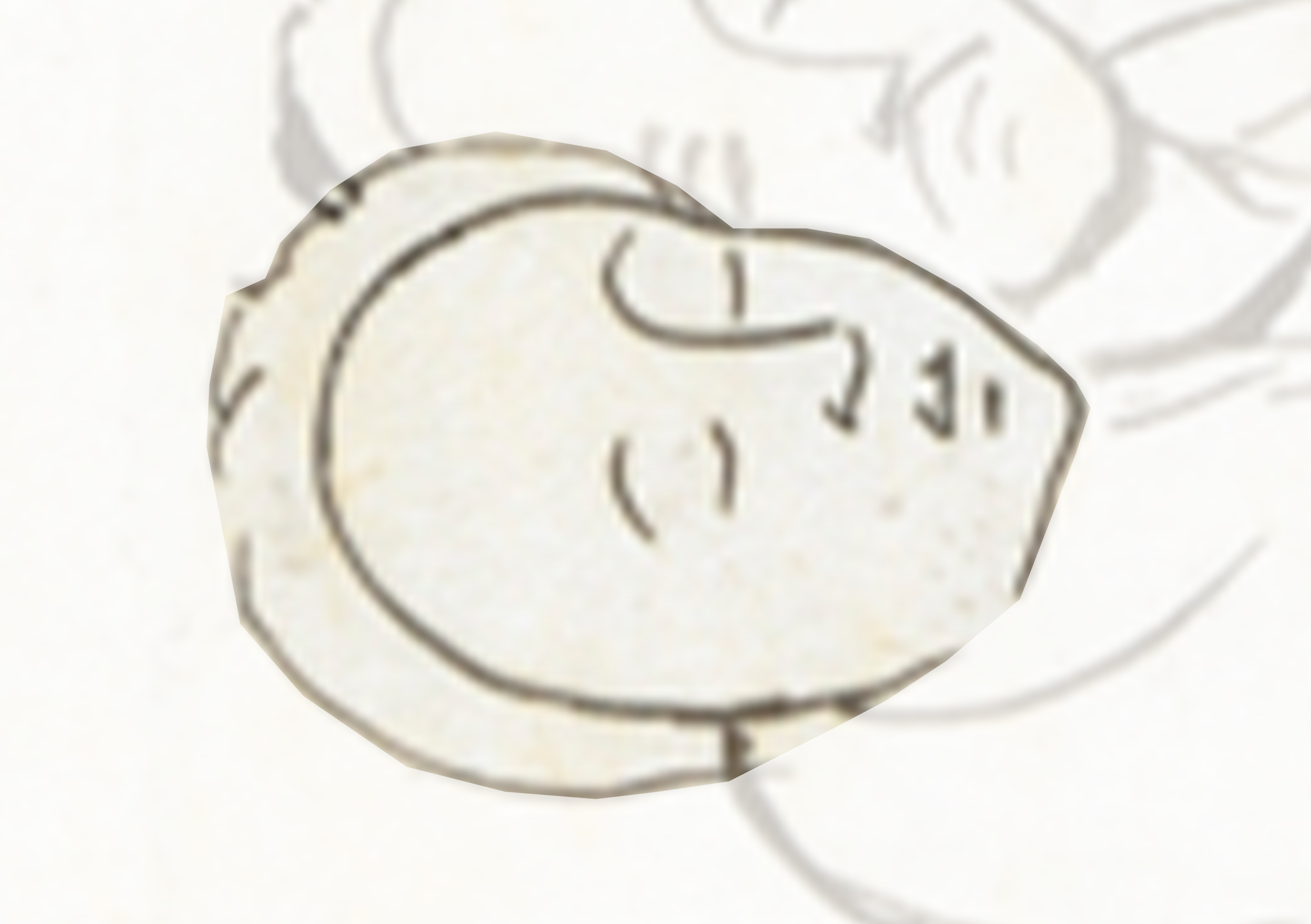 Drawing Of A Pig With A White Background