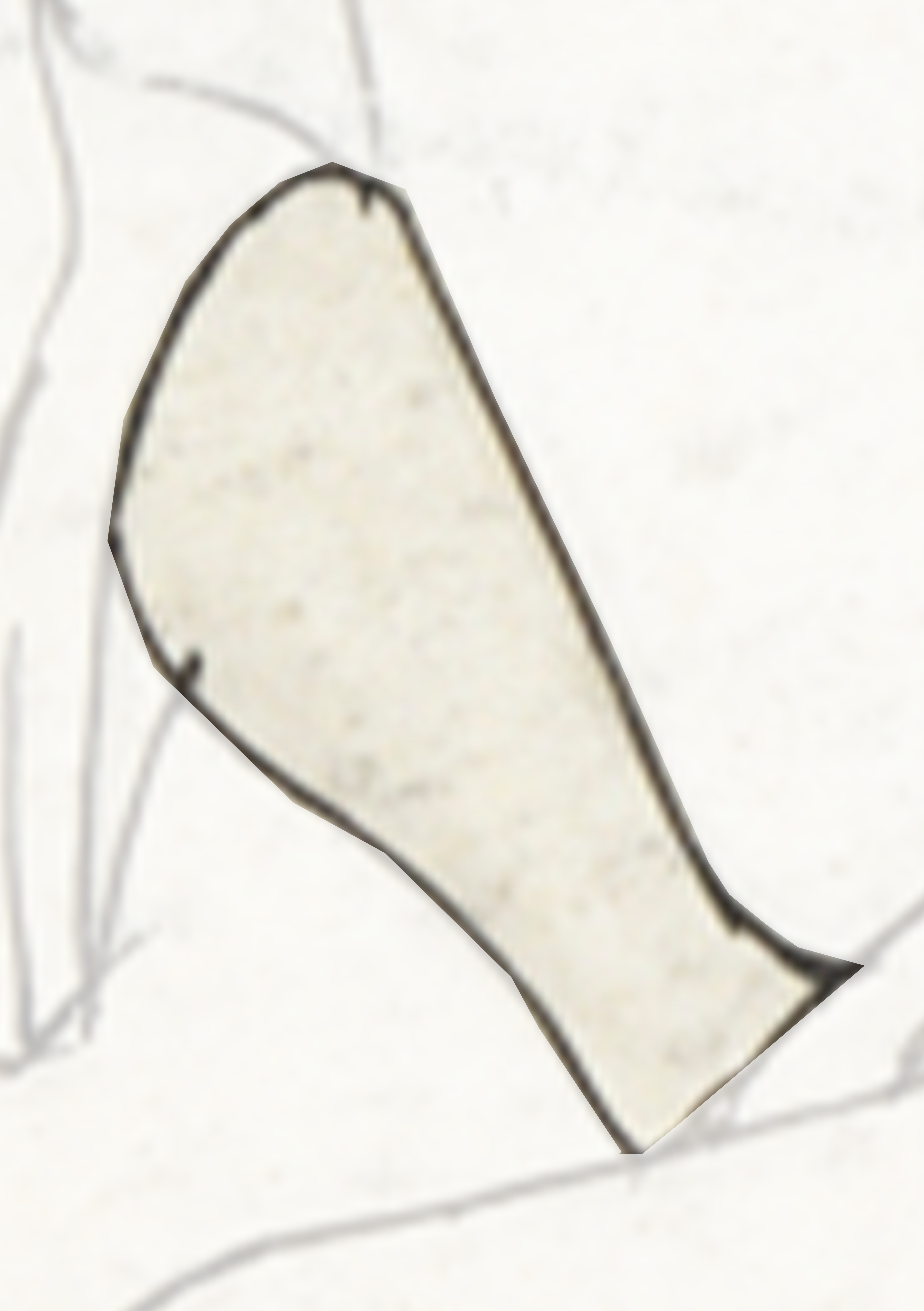 Piece Of White Paper With A Black Outline