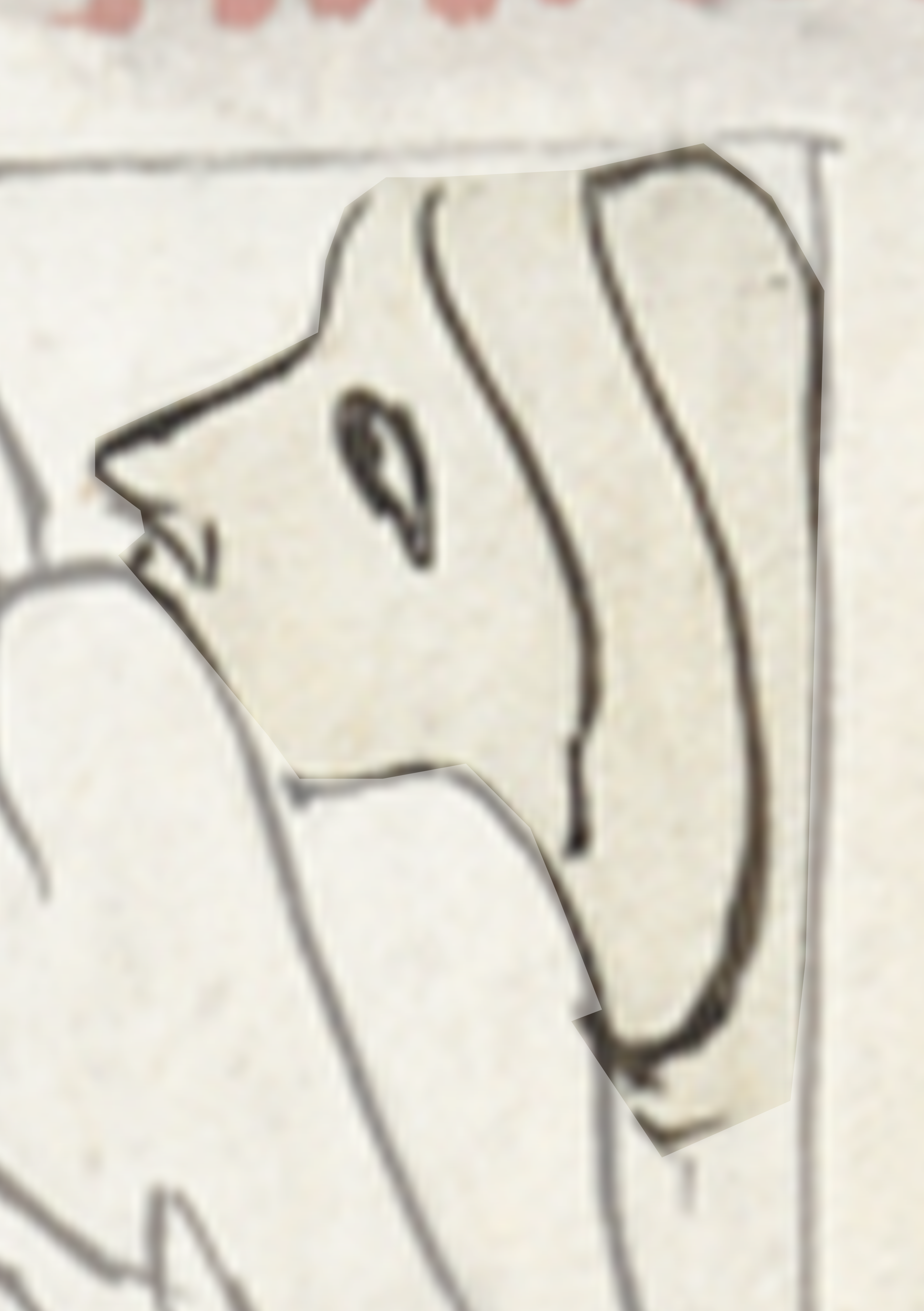 Dog With A White Face And A Black Nose