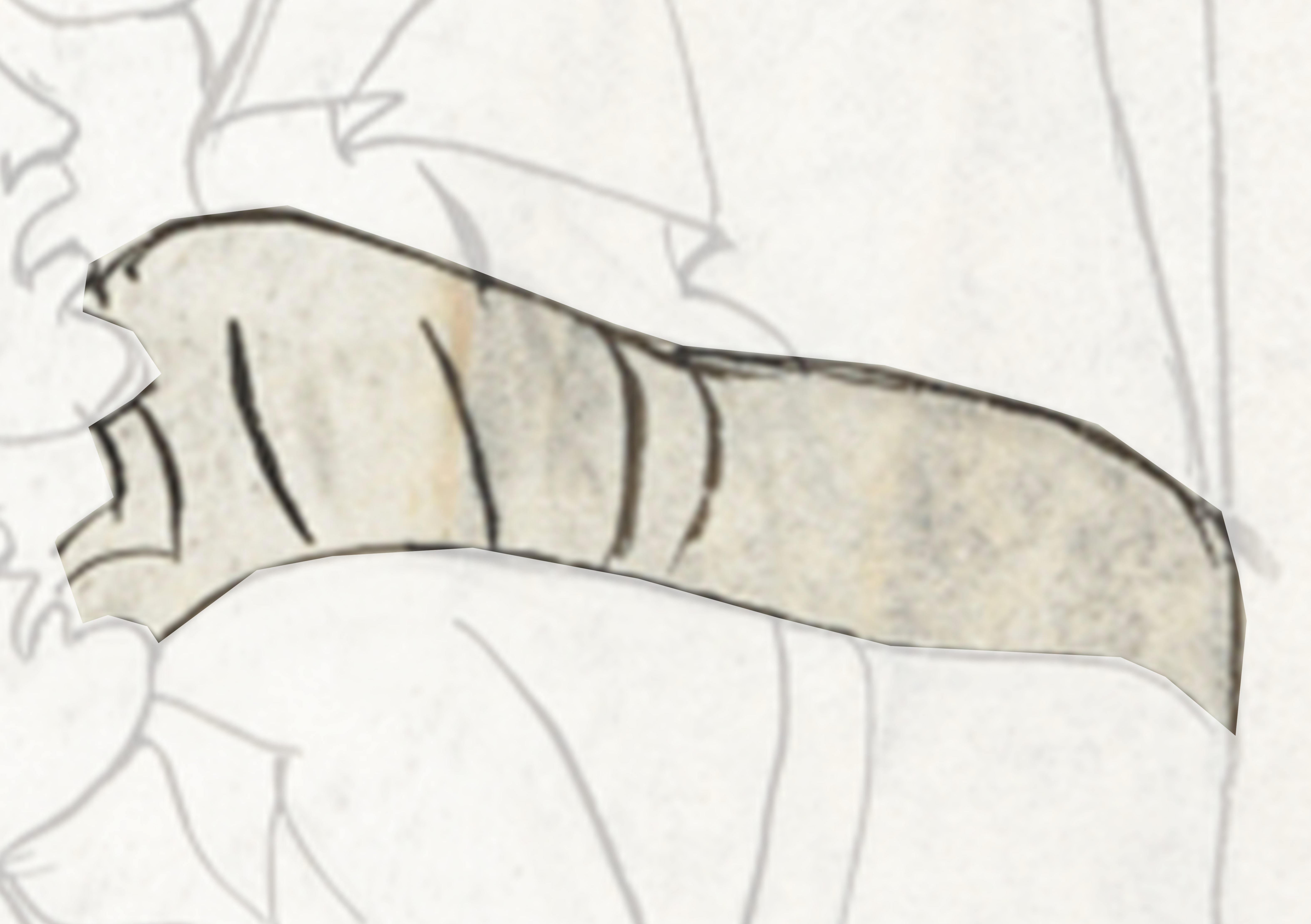 White Tiger