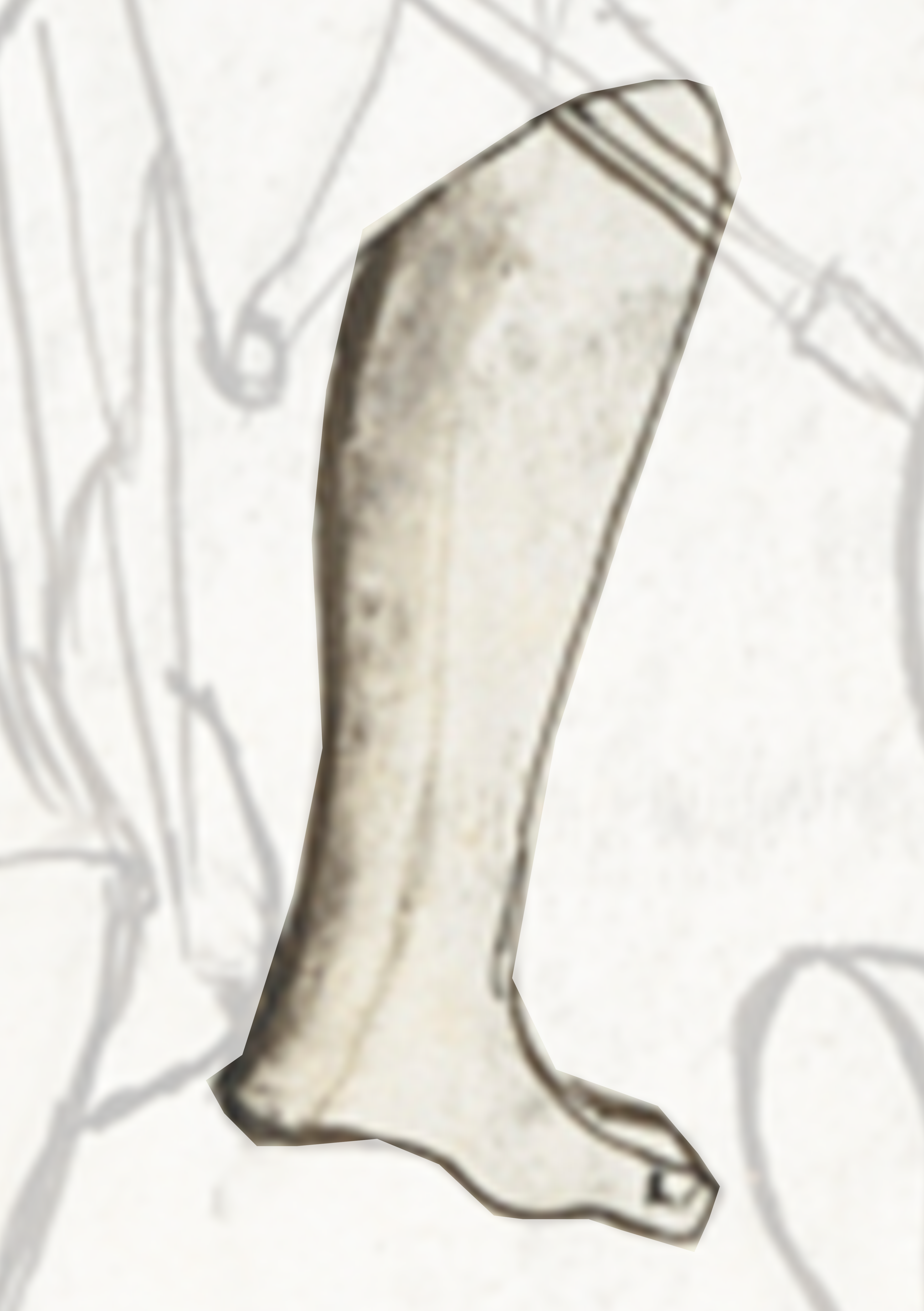 Drawing Of A Pair Of Shoes