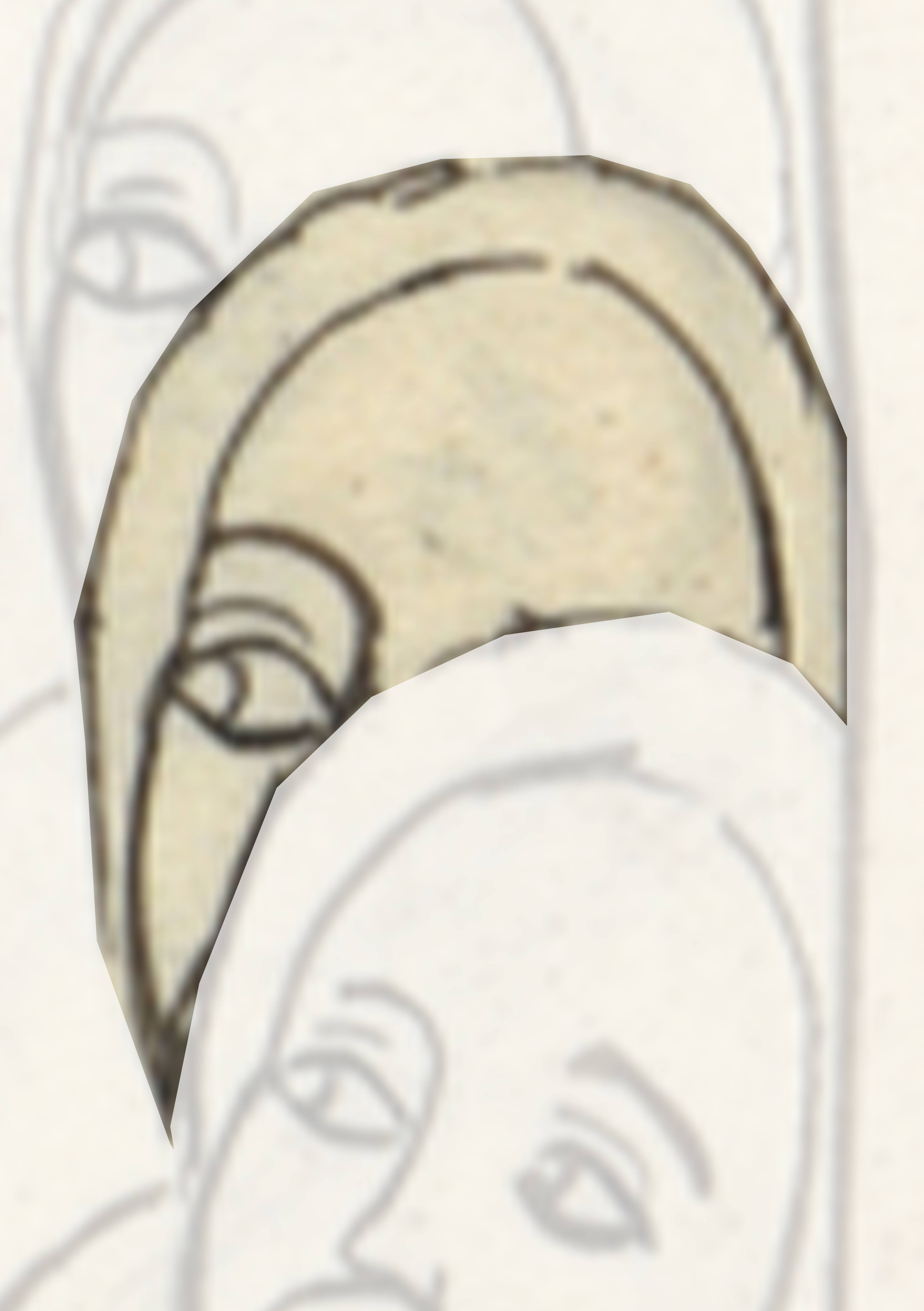Drawing Of A Woman S Face