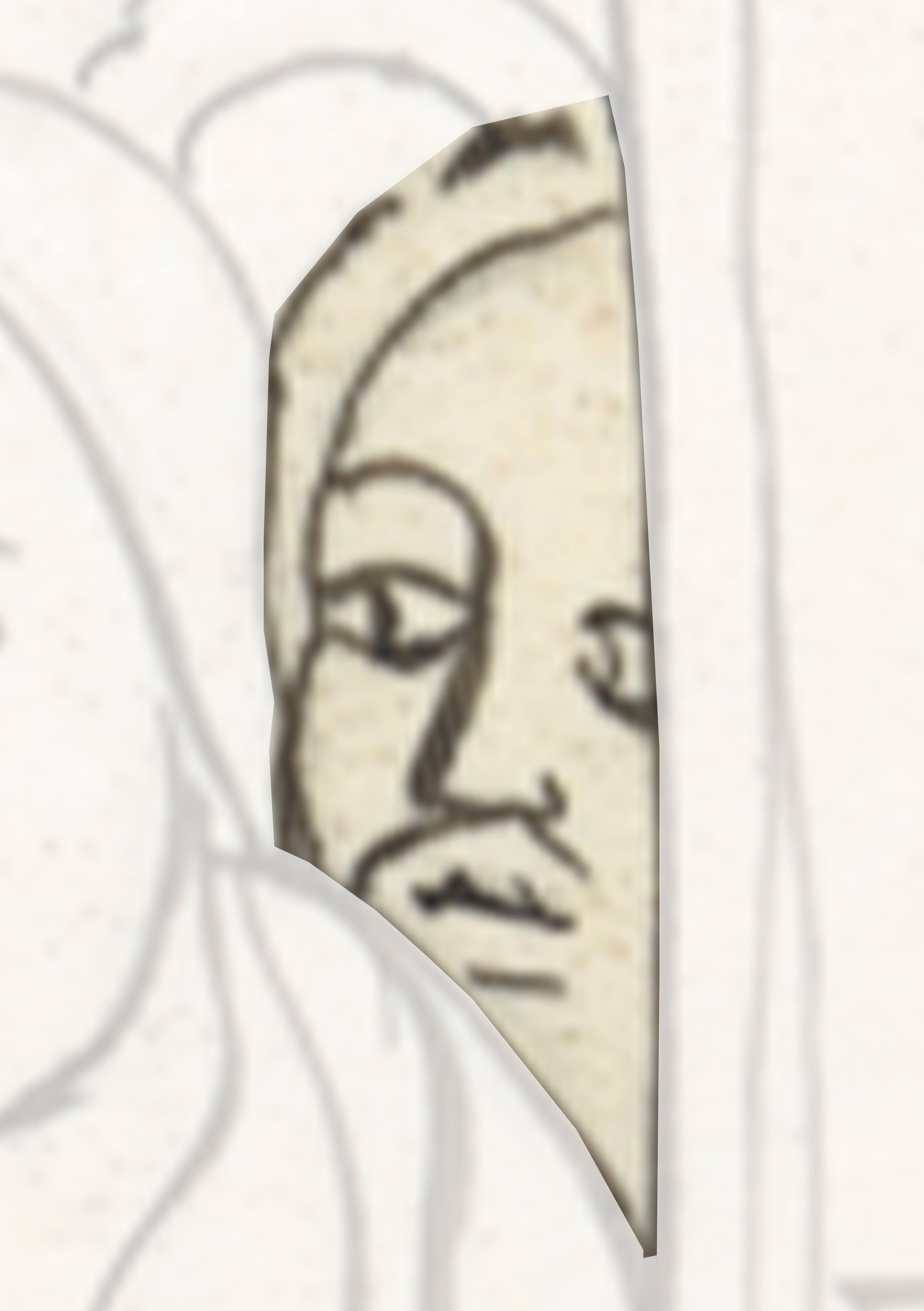 Drawing Of A Woman S Face