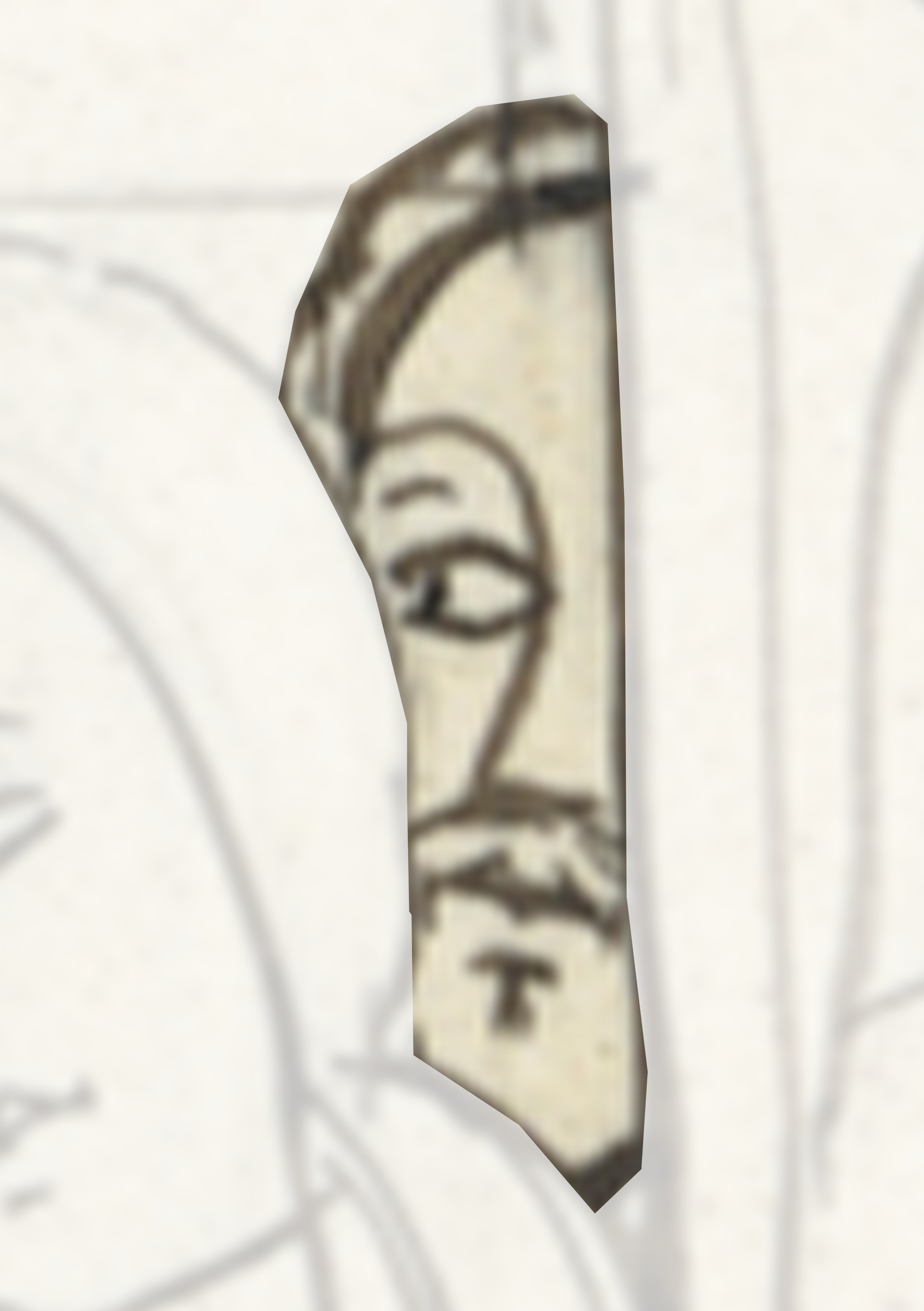 Drawing Of A Face With A Face In The Middle