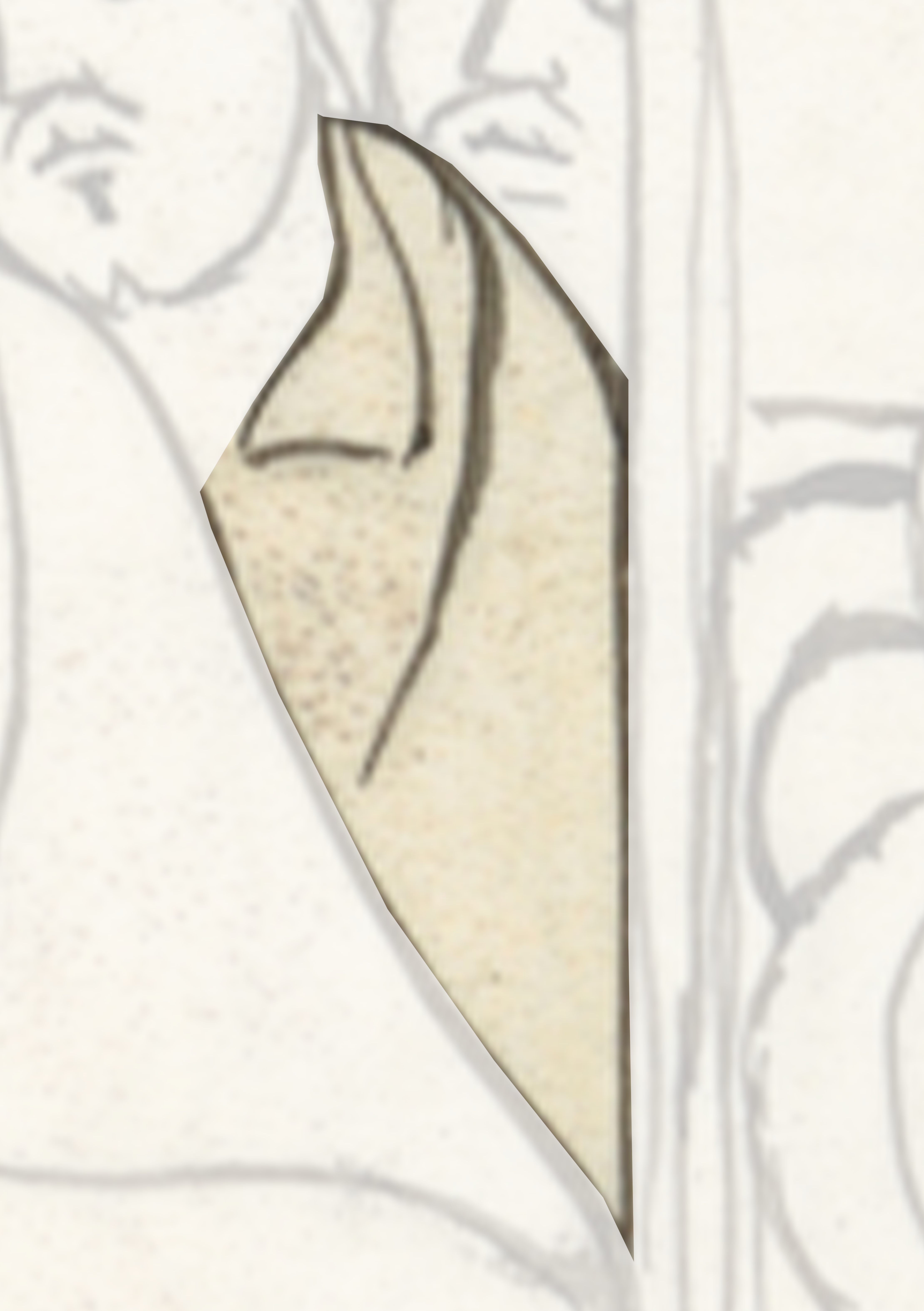 Piece Of Paper With A Drawing Of A Woman