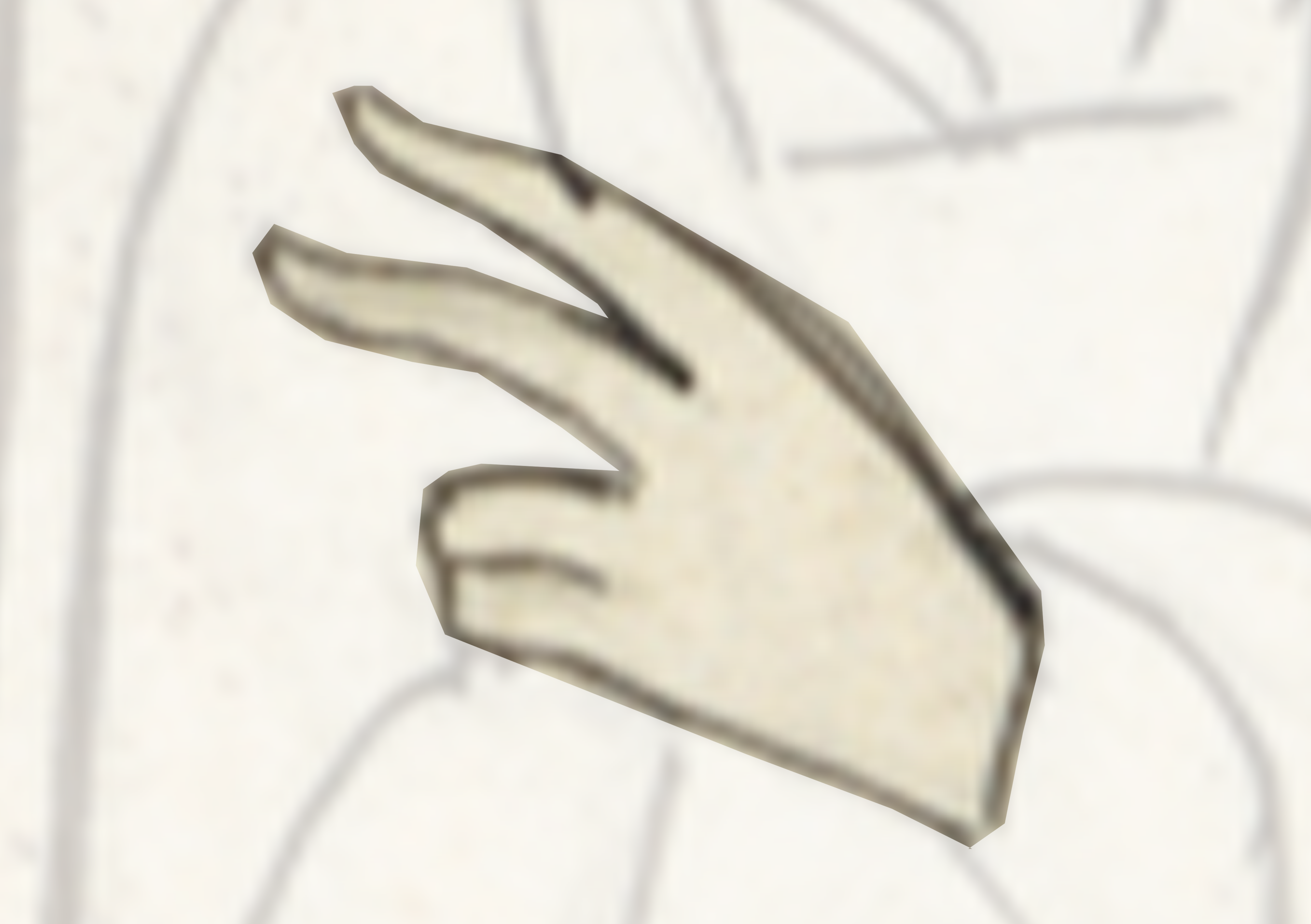 White Object With A Black Outline