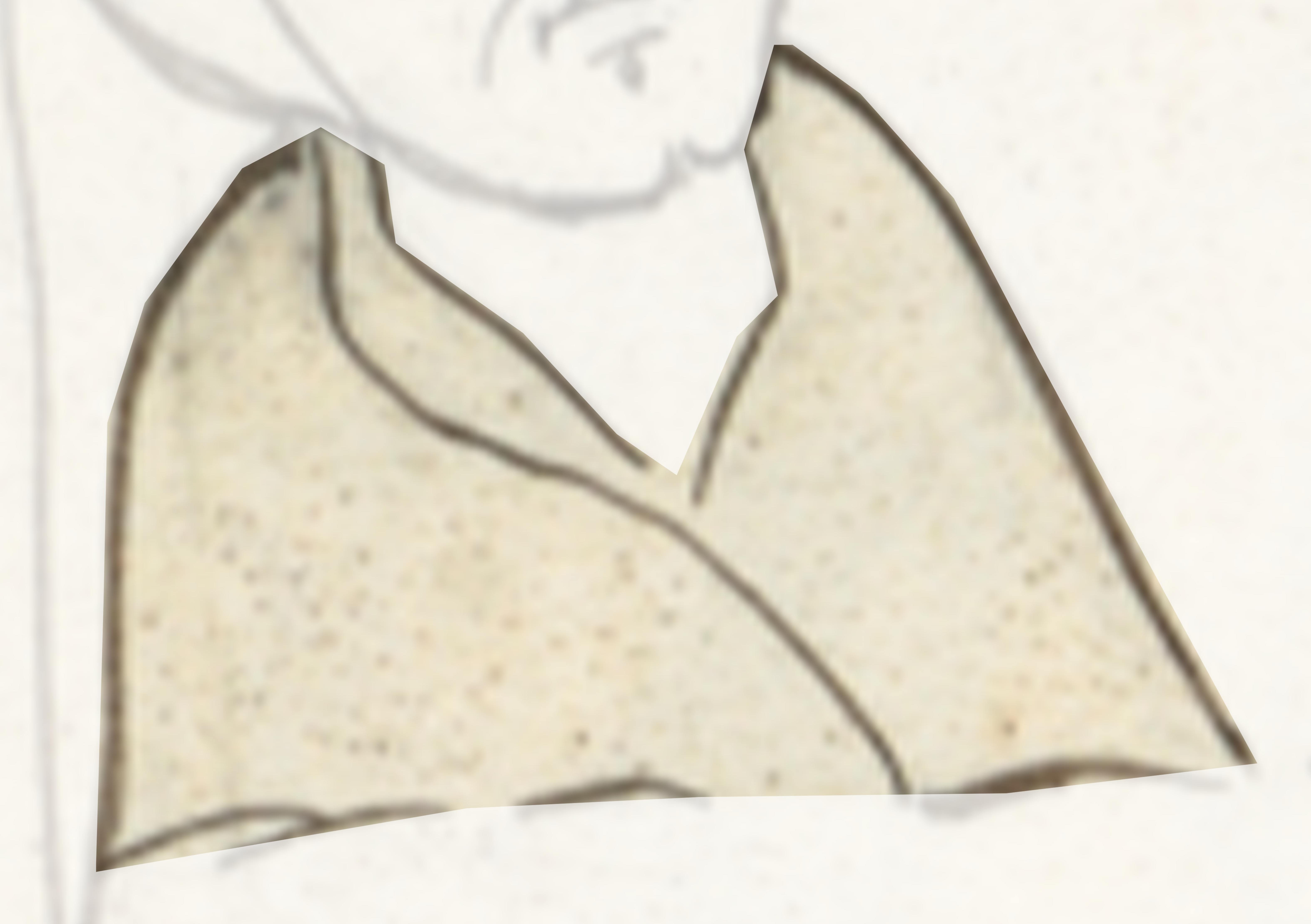 Drawing Of A Man With A Beard