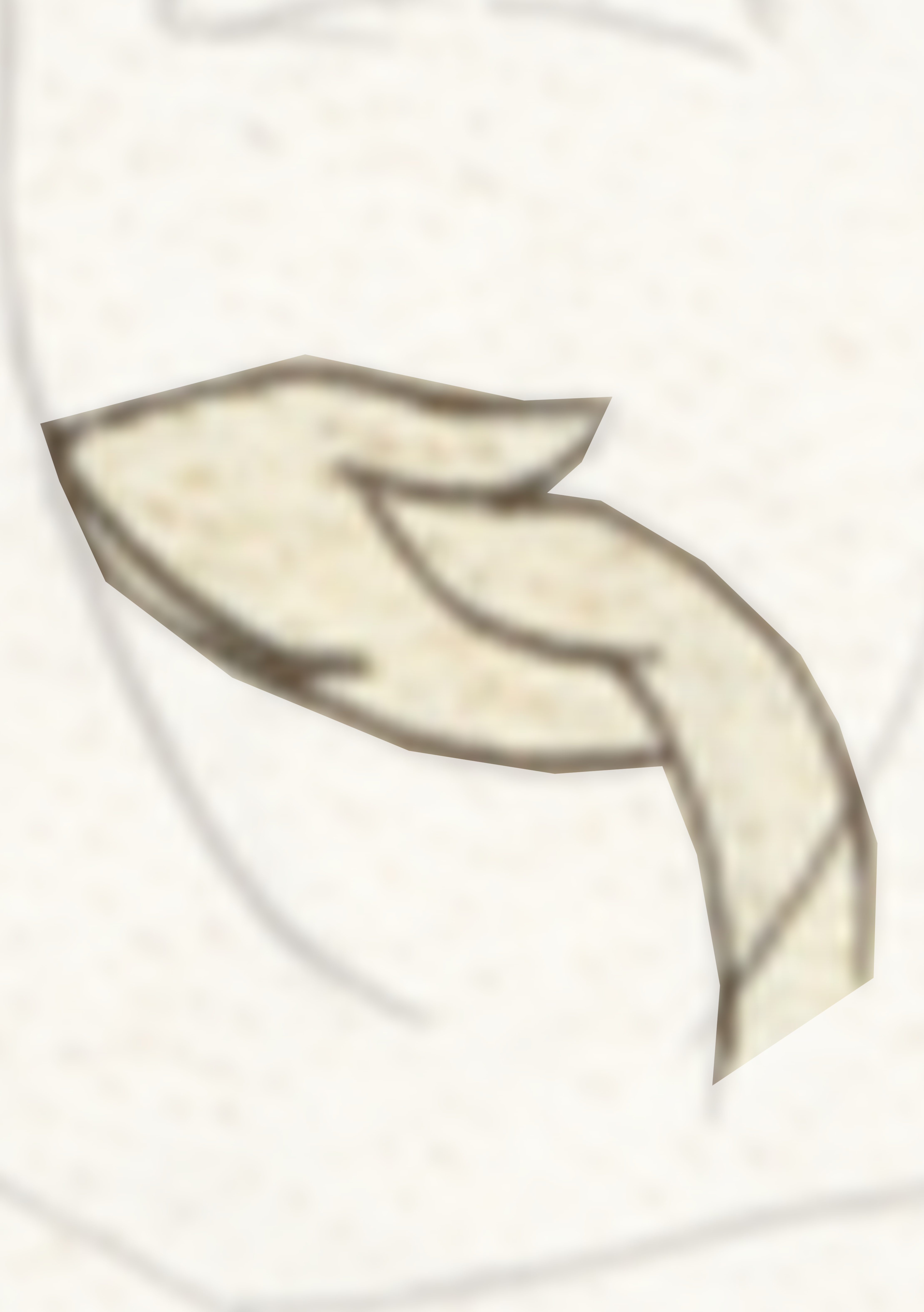 Drawing Of A Leaf With A White Background