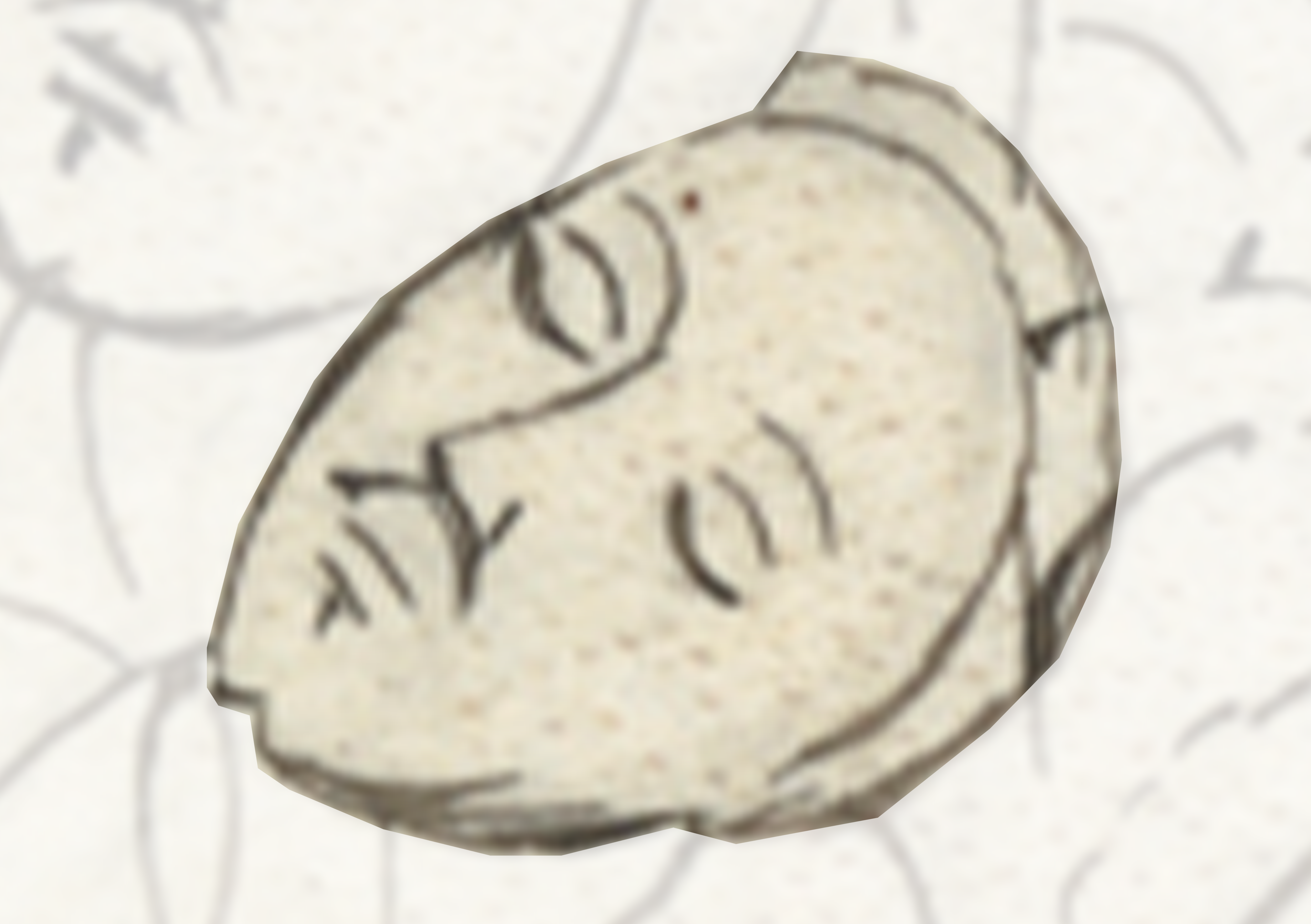 White Stone With A Face On It