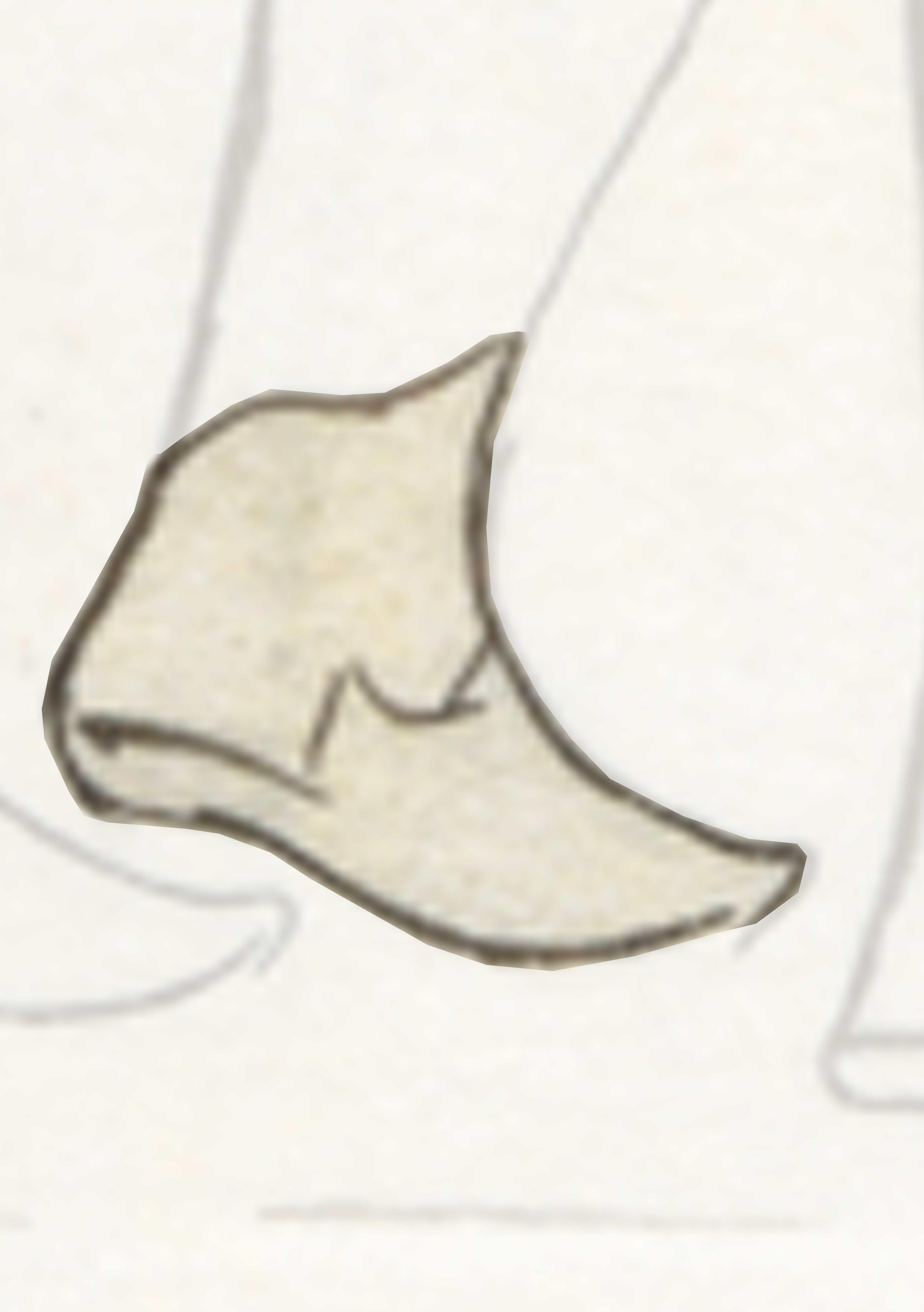 Drawing Of A Shoe With A Shoelacet