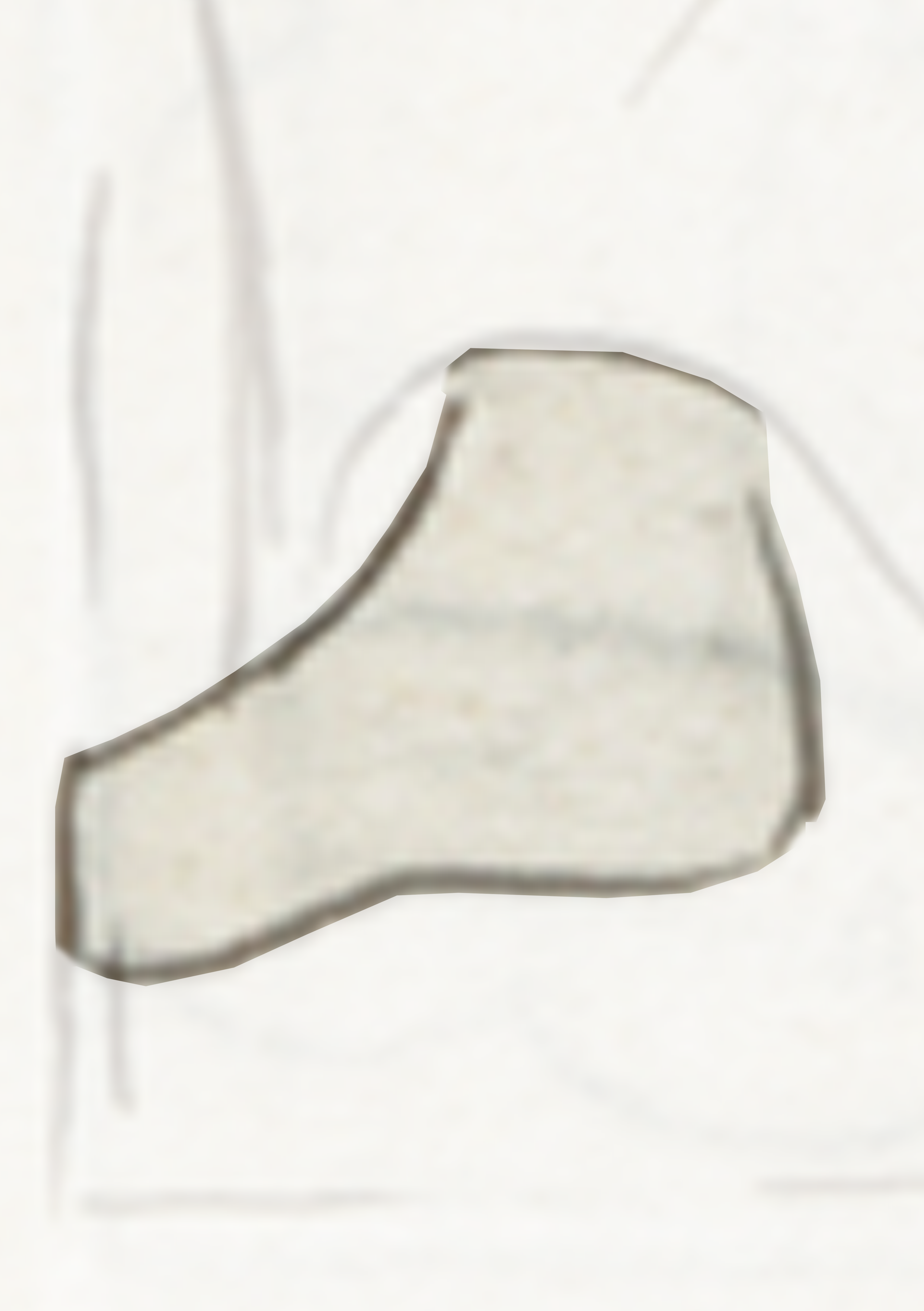 White Shirt With A Black And White Logo