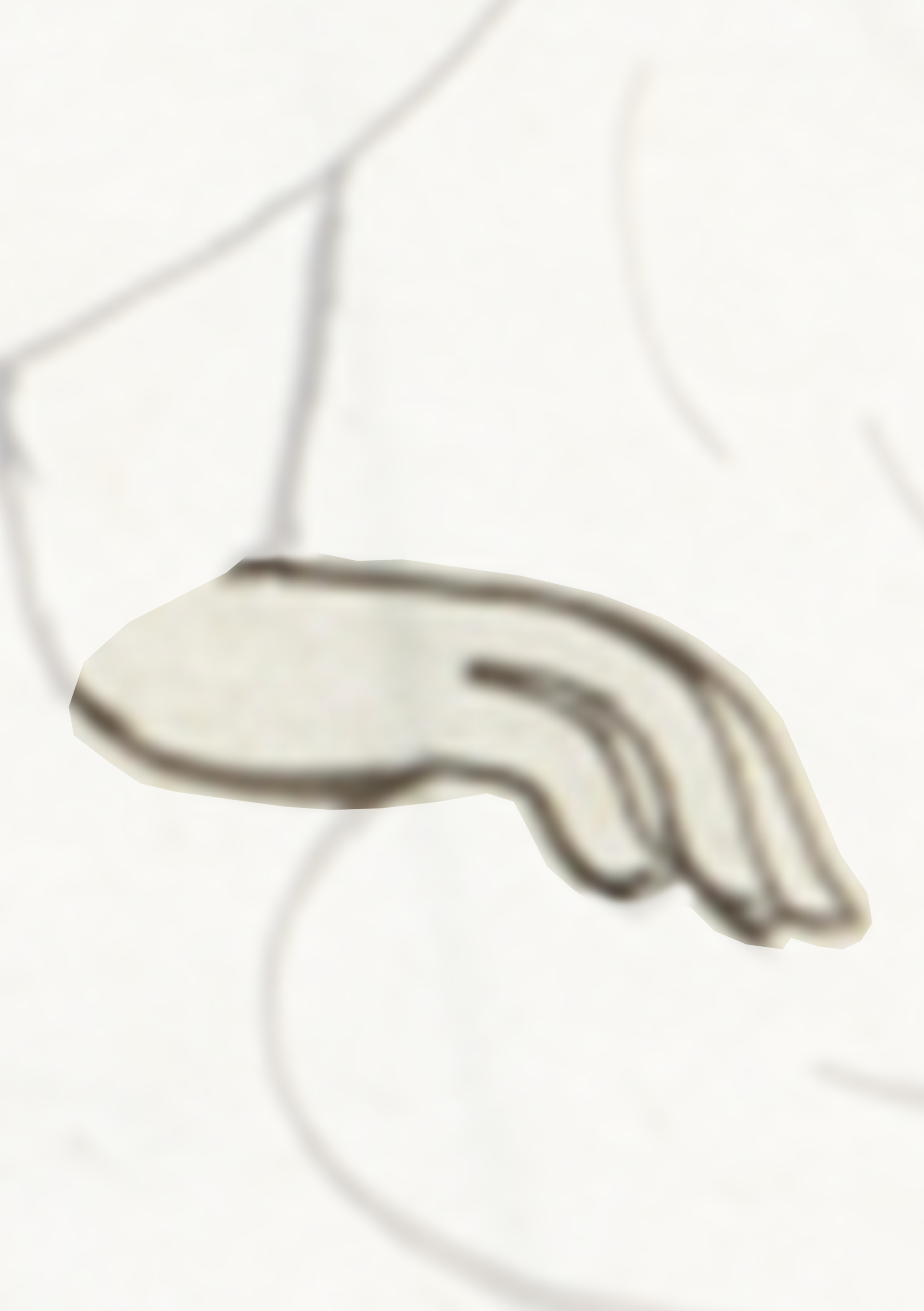 Hand Is Shown In The Middle Of The Image