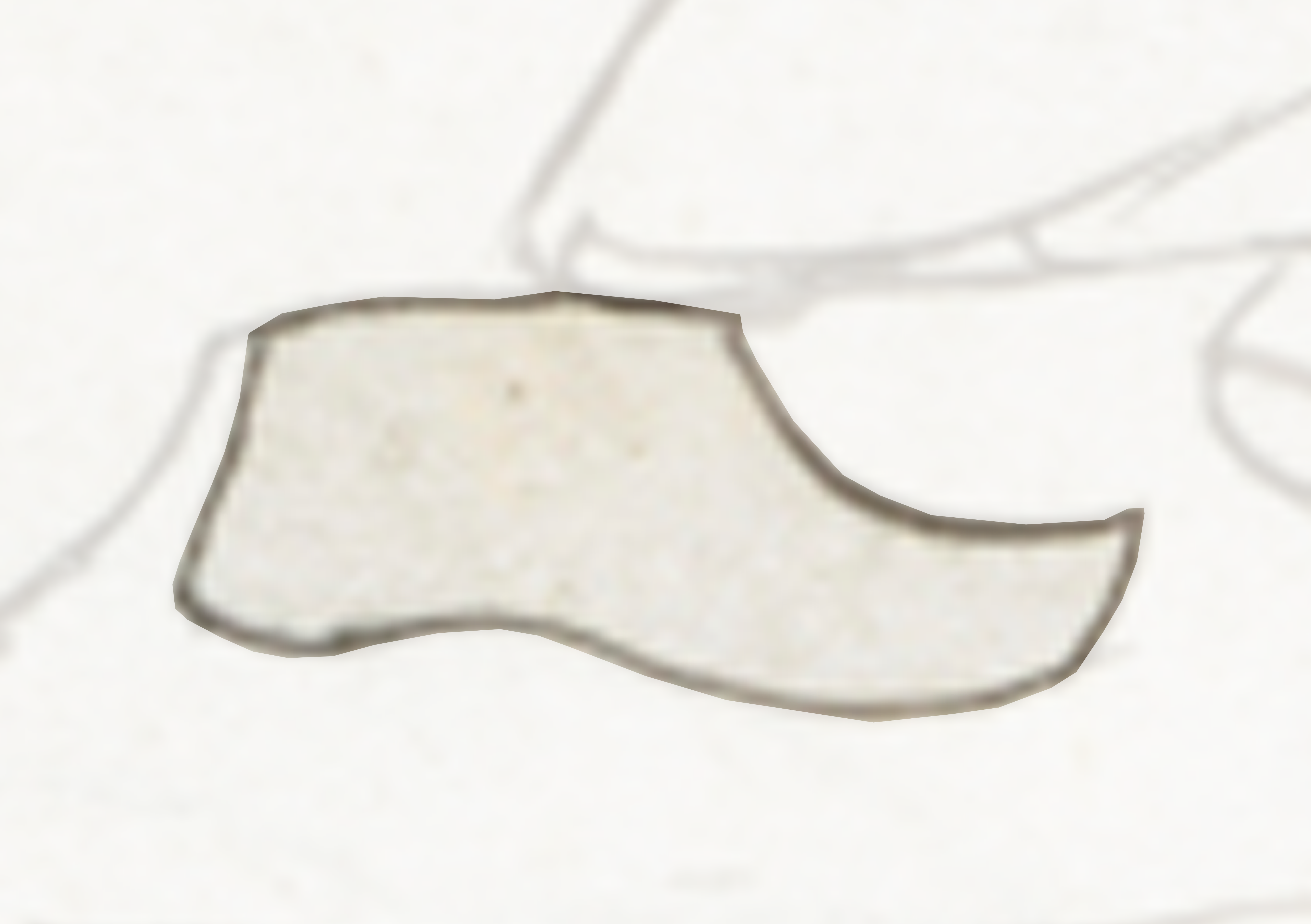 White Paper Cut Out Of A Leaf