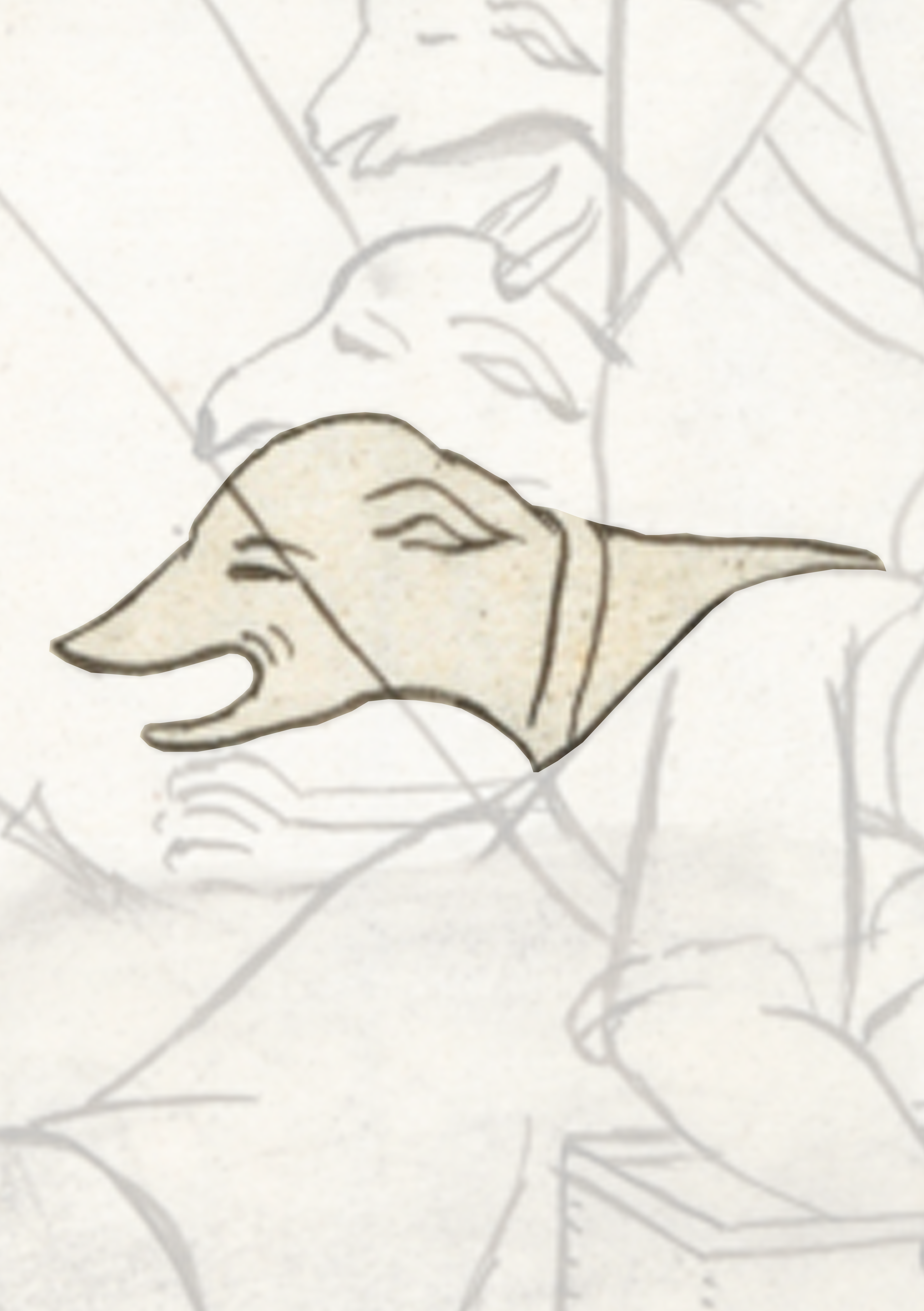 Dog Is Looking At A Person