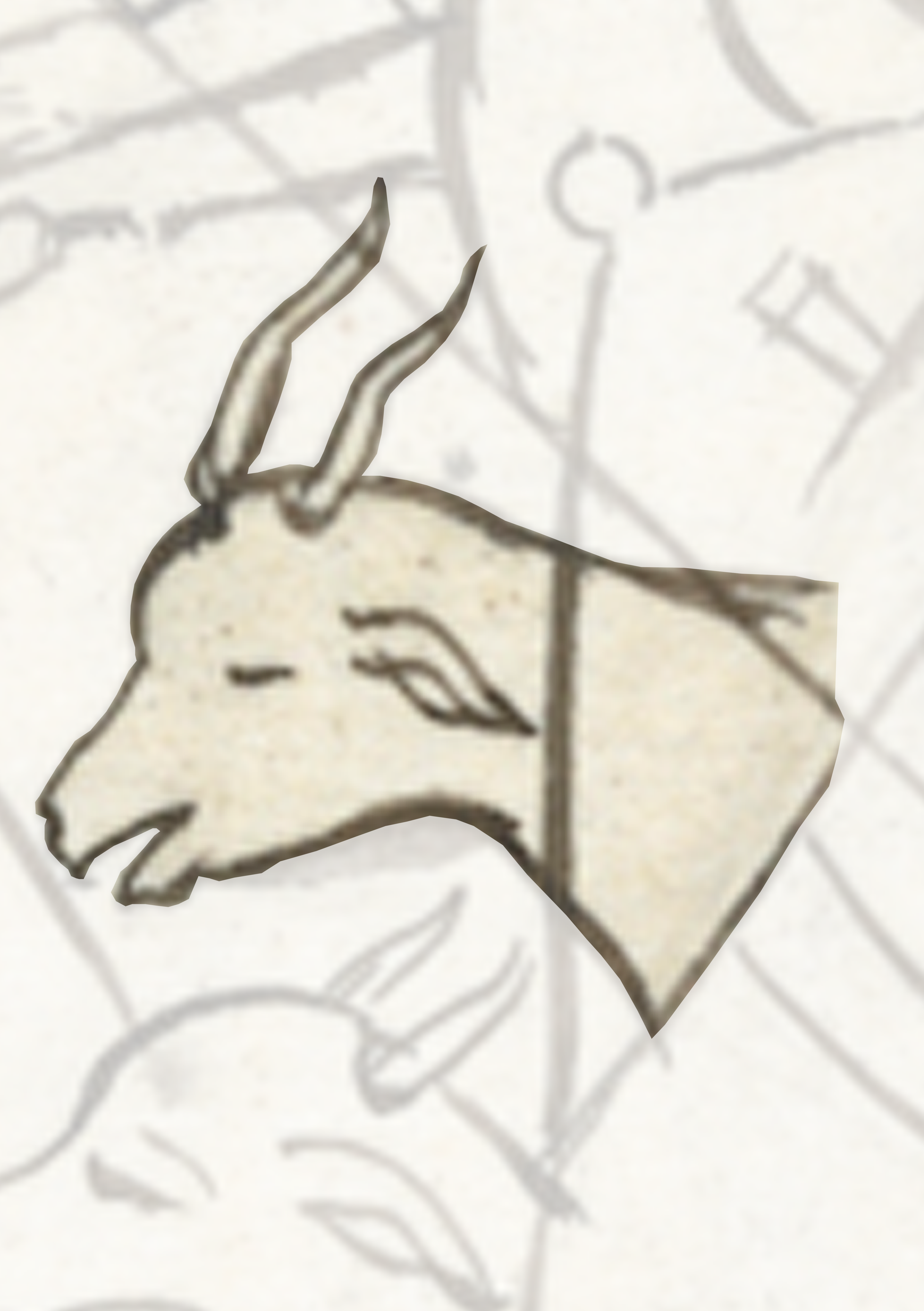 Goat Head With A White Background