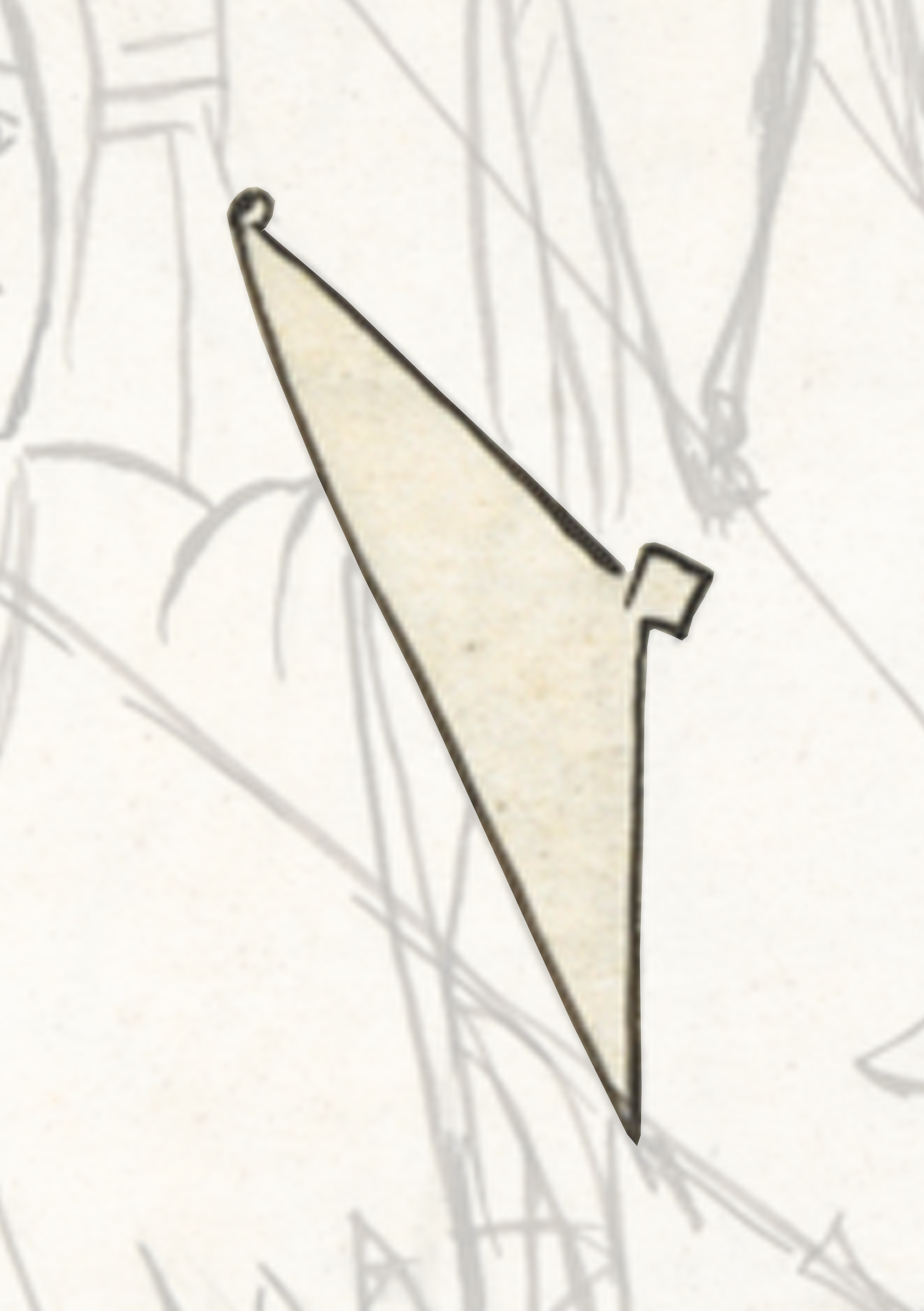 White Kite With A Black Tail