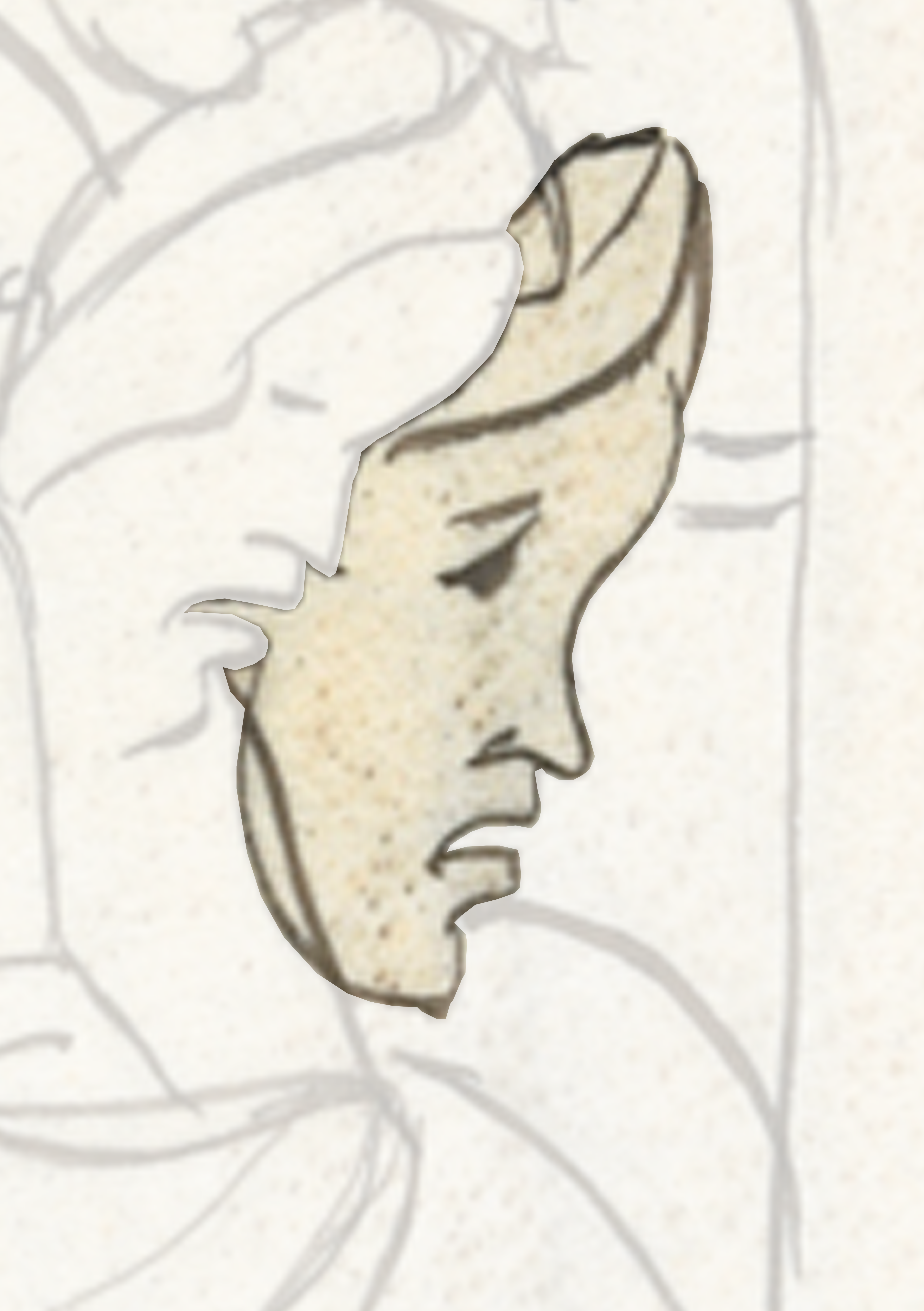 Drawing Of A Face With A White Background