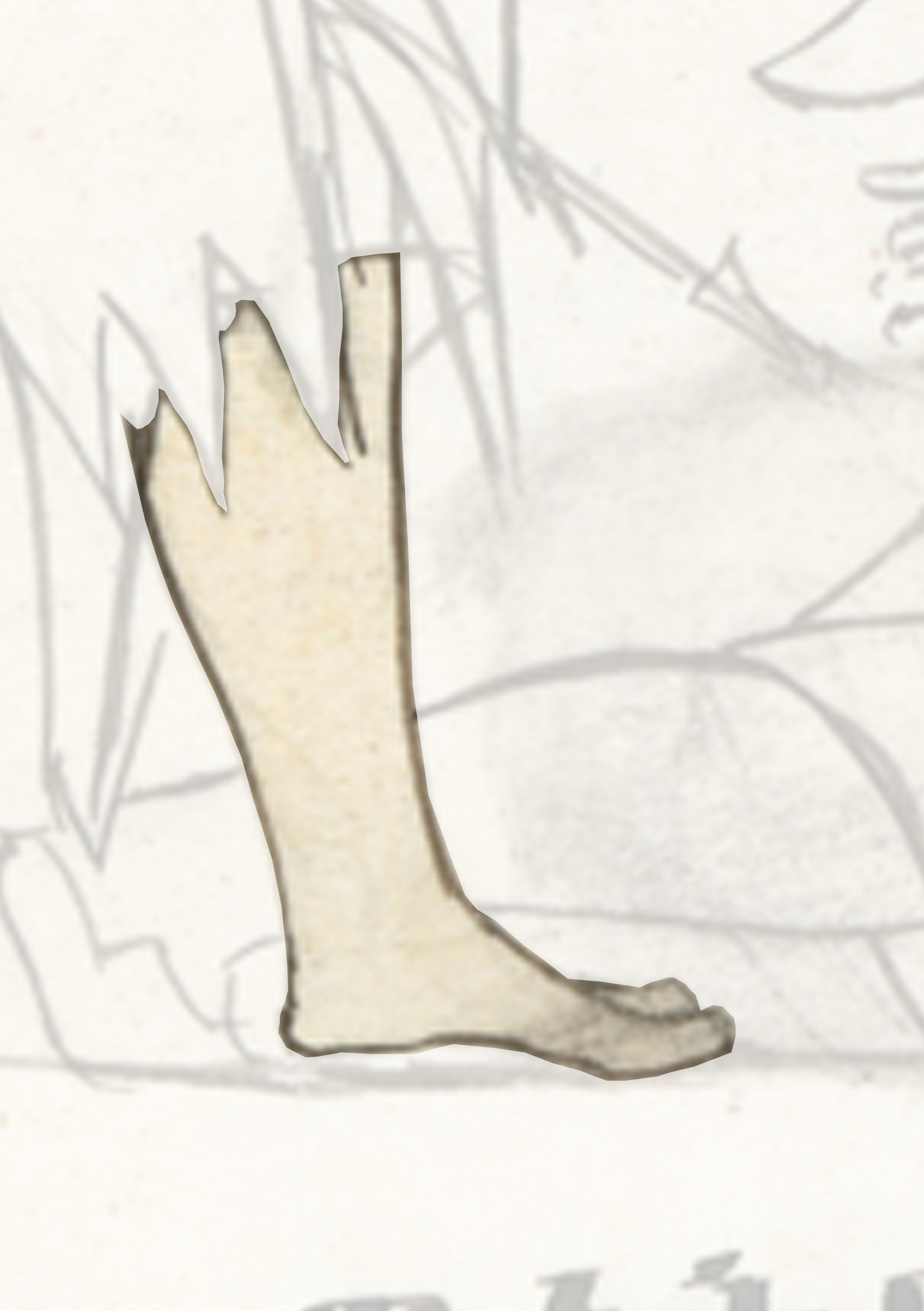 Drawing Of A Pair Of Shoes