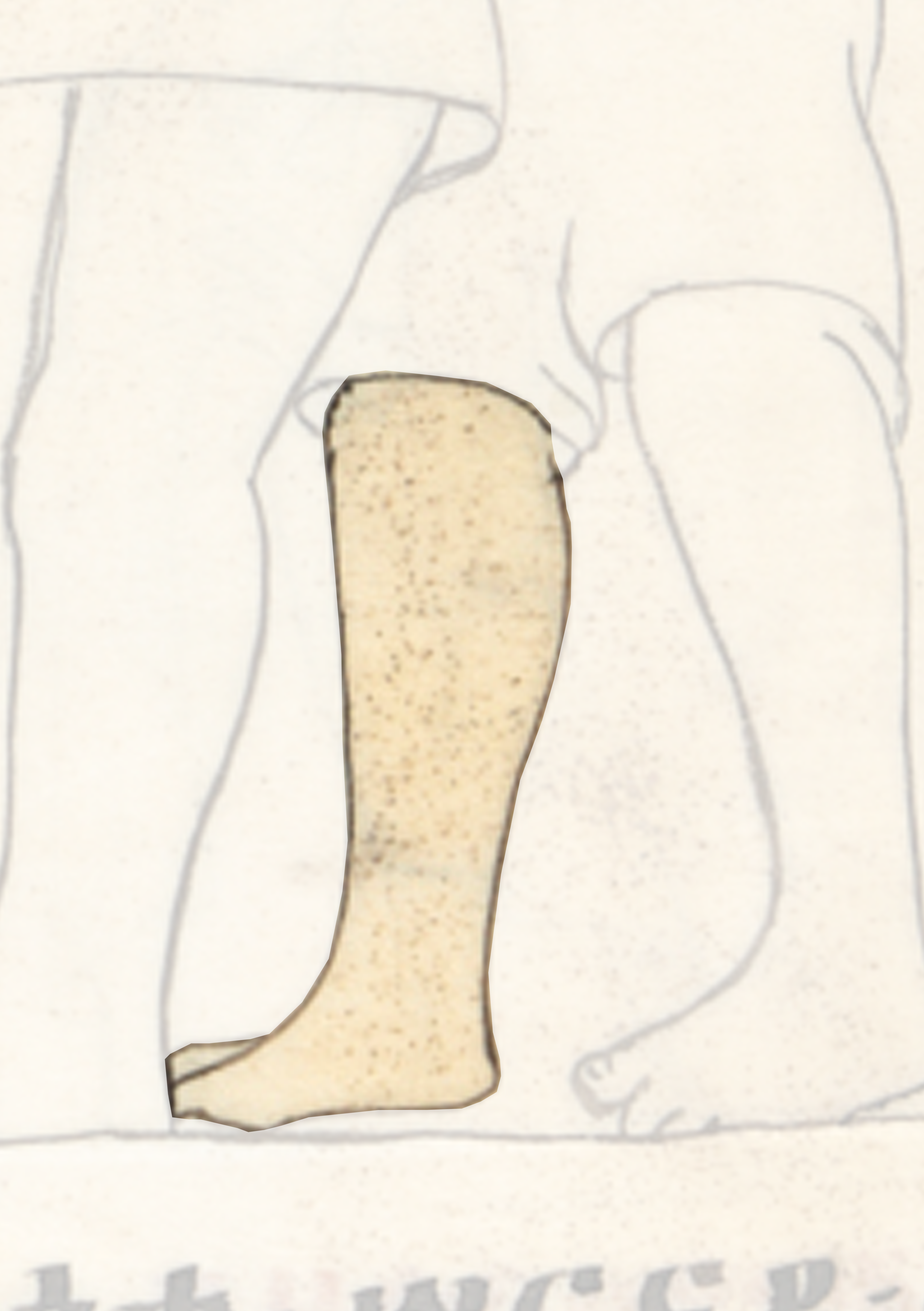 Drawing Of A Man S Foot