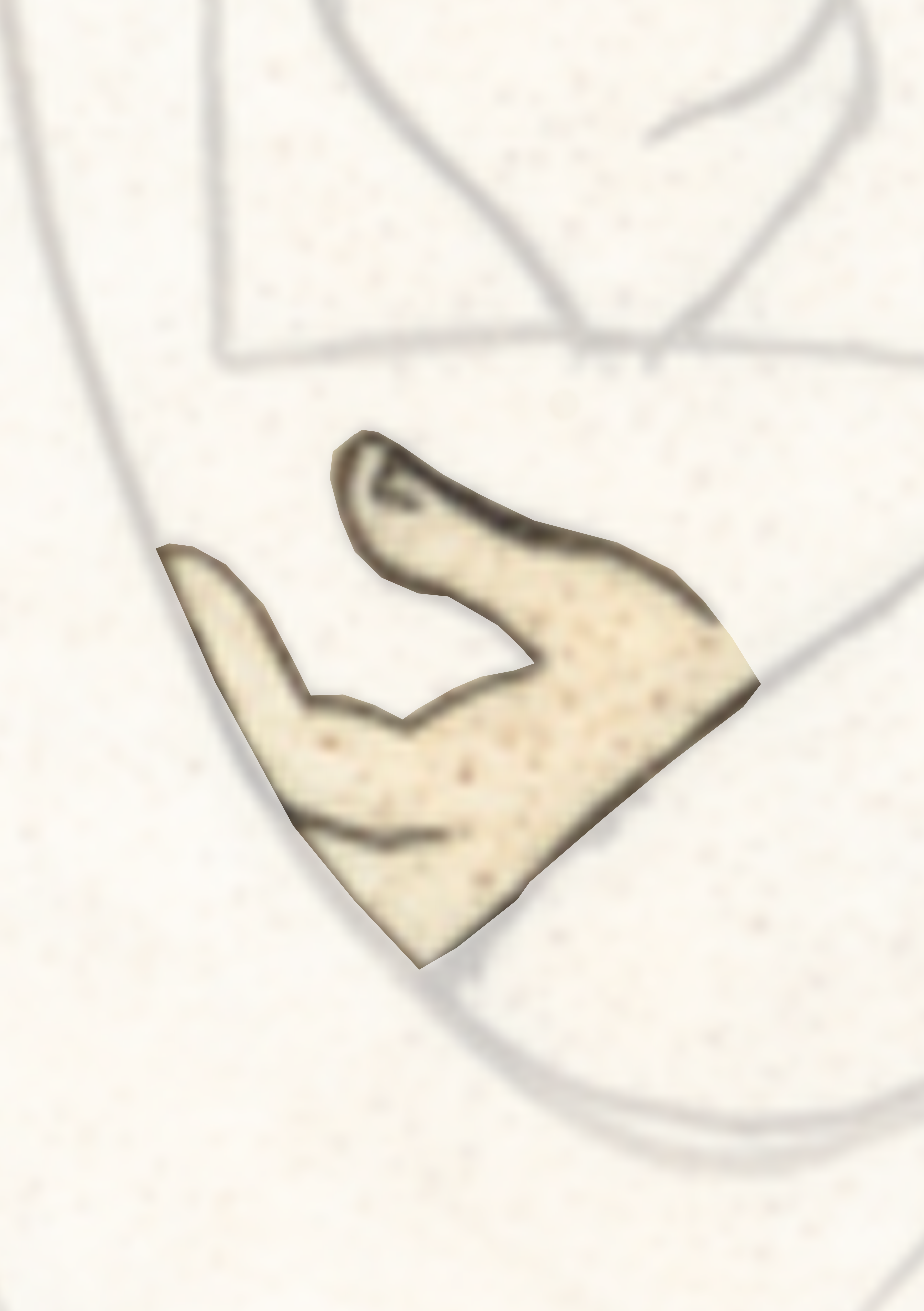 Drawing Of A Face With A Small Nose