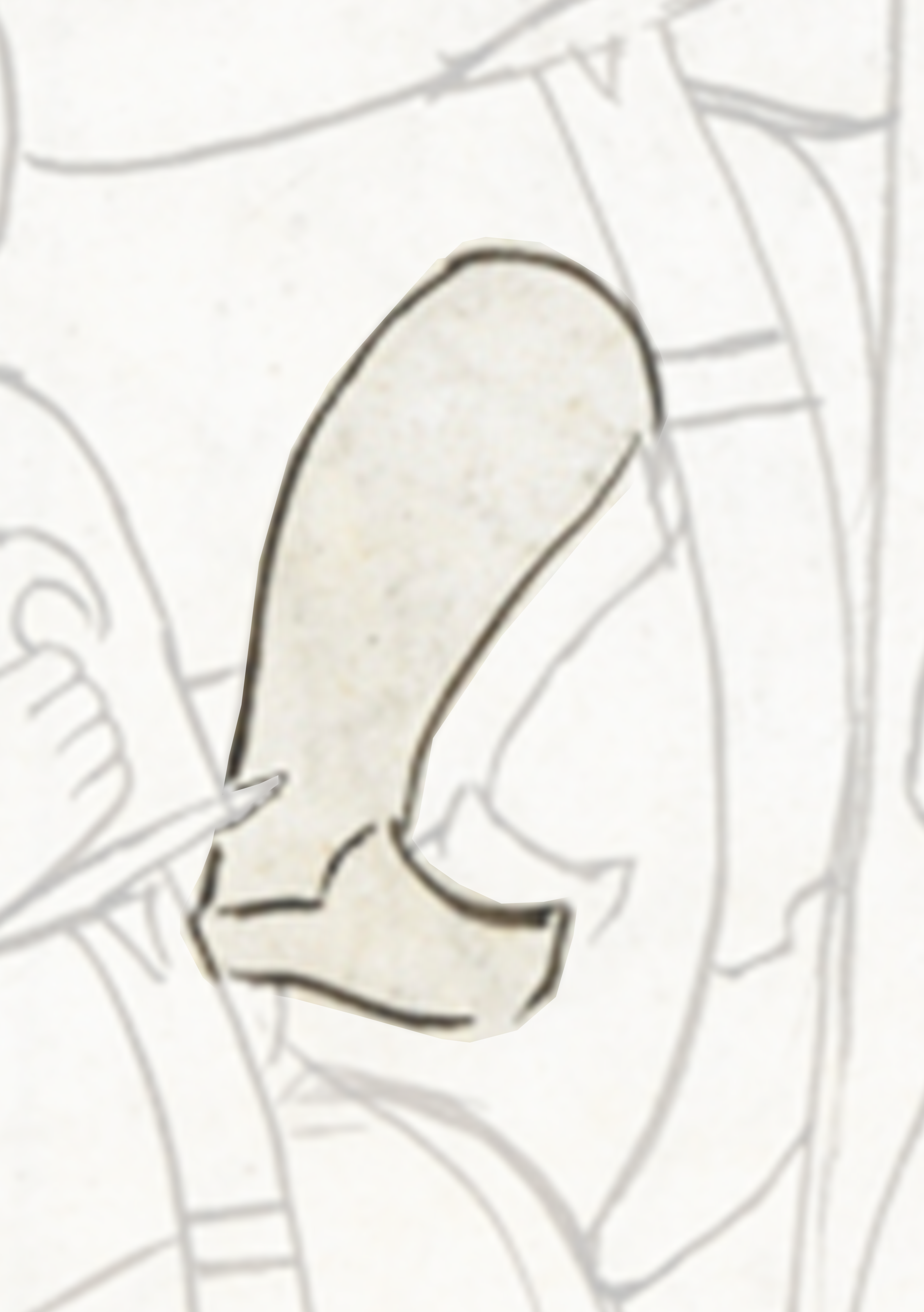 Drawing Of A Bird Flying Over A Person