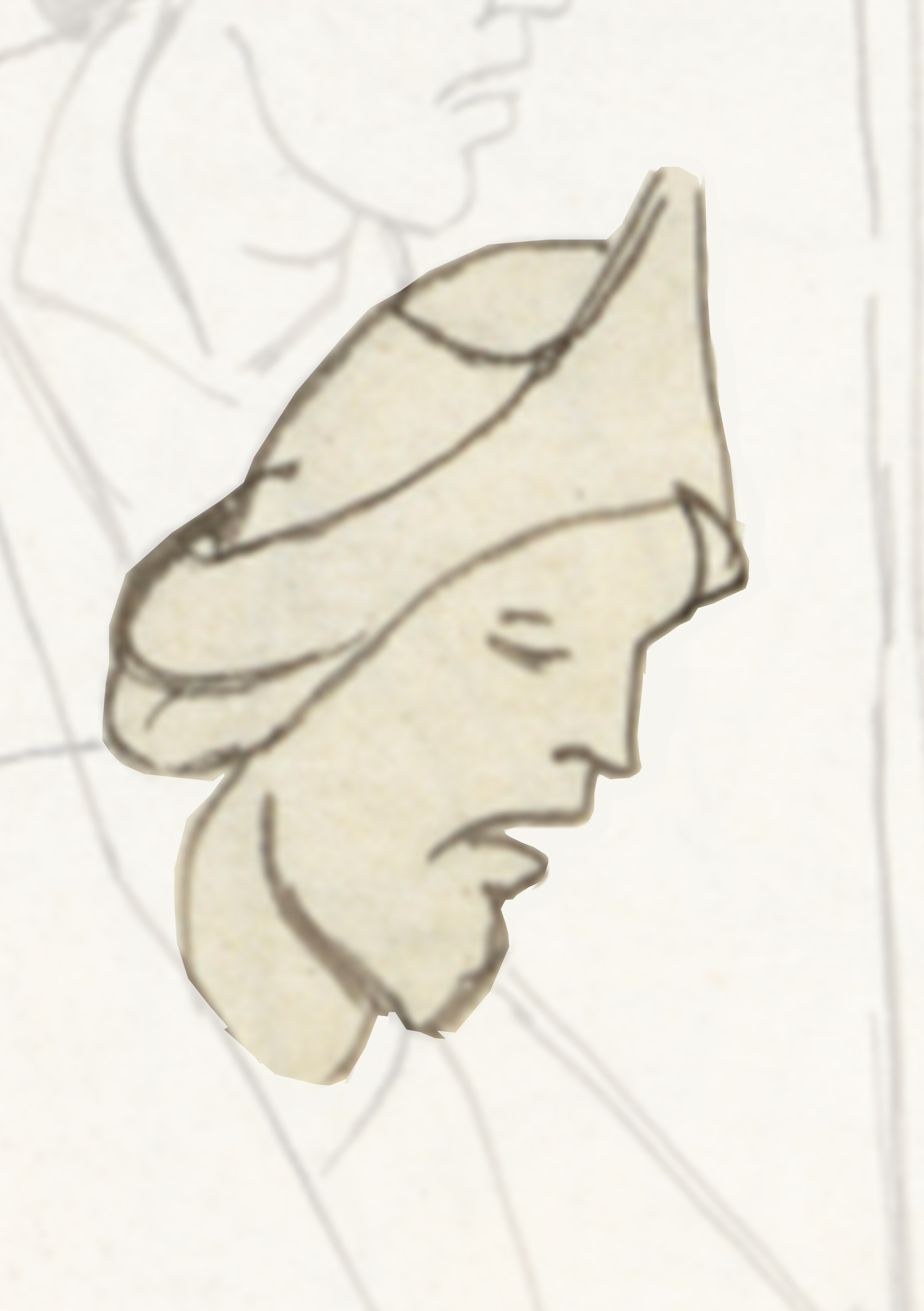Drawing Of A Woman S Face With A Long Hair