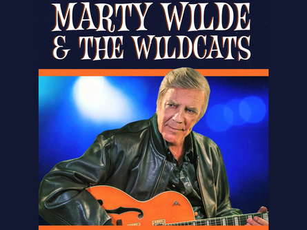 Marty Wilde & The Wildcats picture