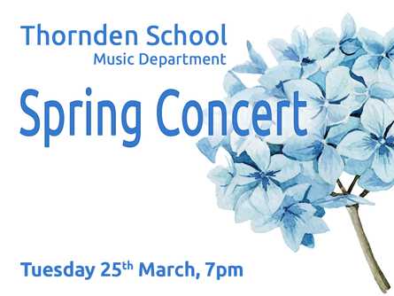 Thornden School Spring Concert picture