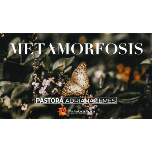 Metamorfosis