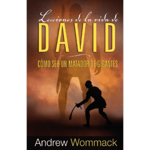 Lecciones de la Vida de David E-book
