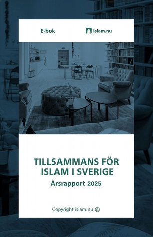 Årsrapport för 2025
