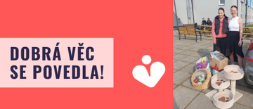 Red And White Modern Study In Germany Instagram Post (450 x 195 px) (2)