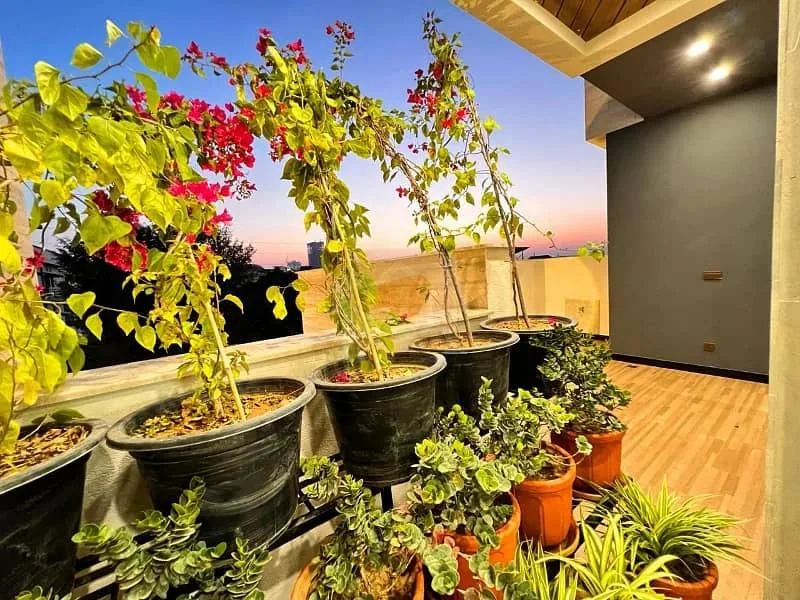 Designer 1 Kanal House with 5 Bedrooms for Sale in DHA