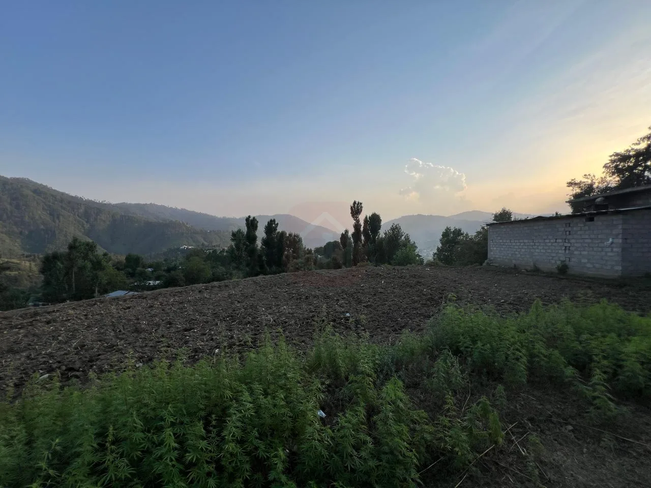5 Kanal Residential Land for Sale KKH Frontage, Ahal Shinkiari, Mansehra