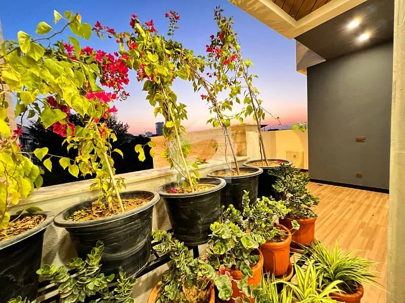 Designer 1 Kanal House with 5 Bedrooms for Sale in DHA