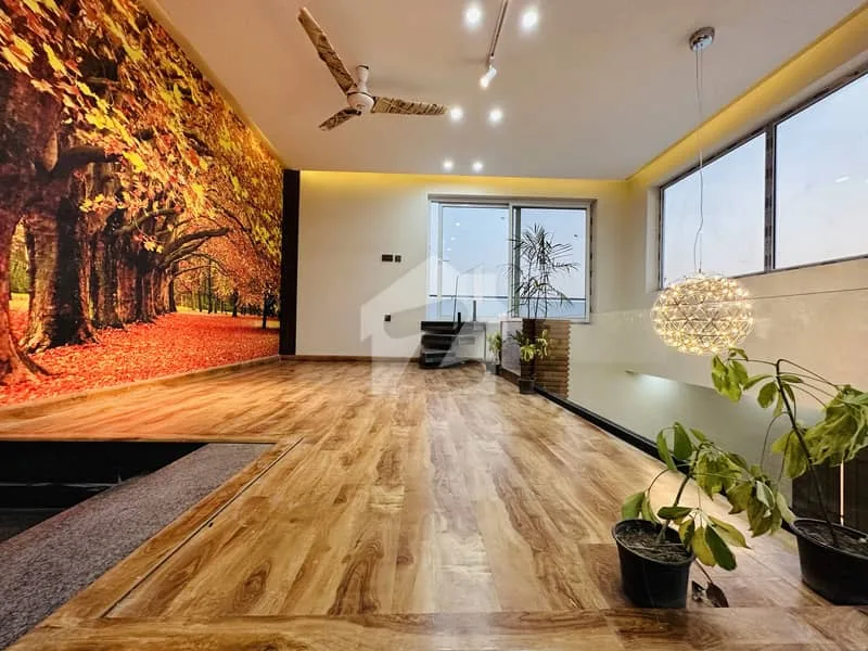 Fully Furnished Designer Home for Sale in DHA Phase 2