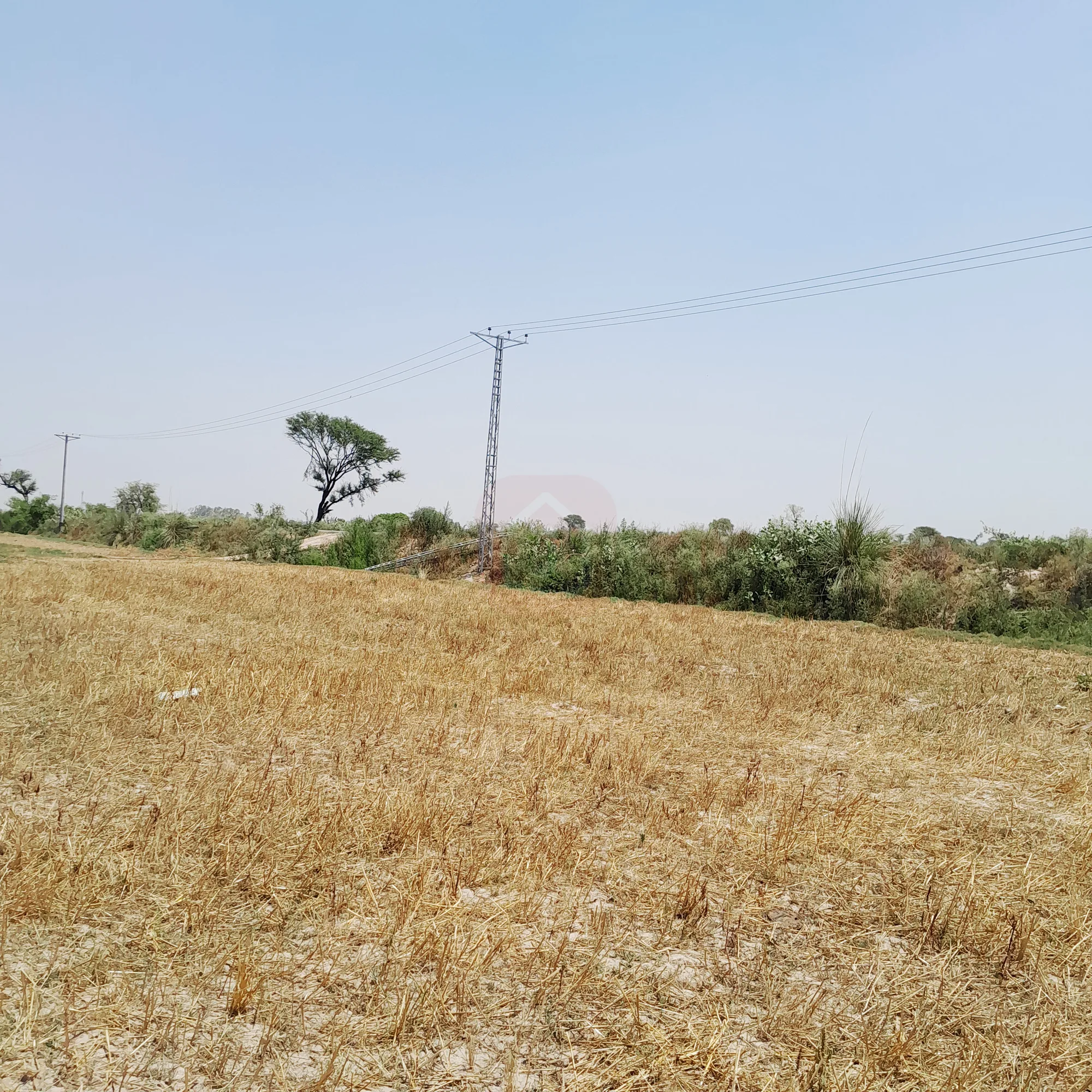 3 acer land on the main road