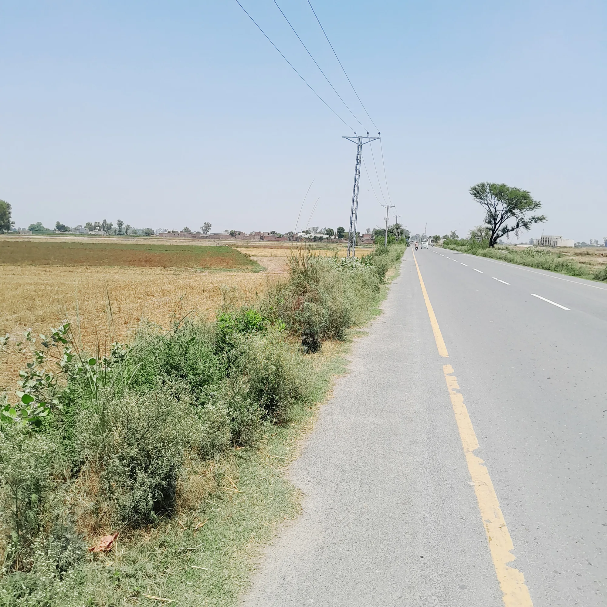 3 acer land on the main road
