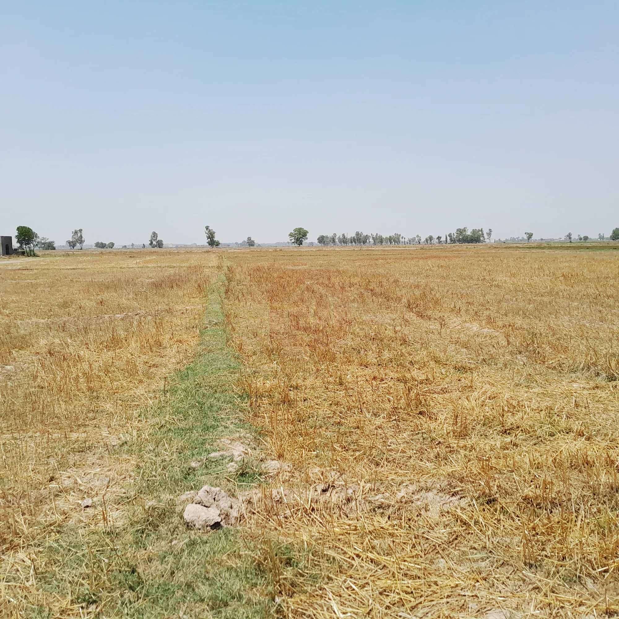 3 acer land on the main road