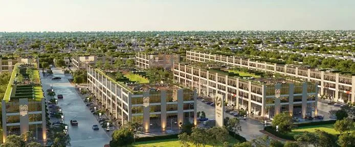 5 Marla Commercial Plots and Buildings