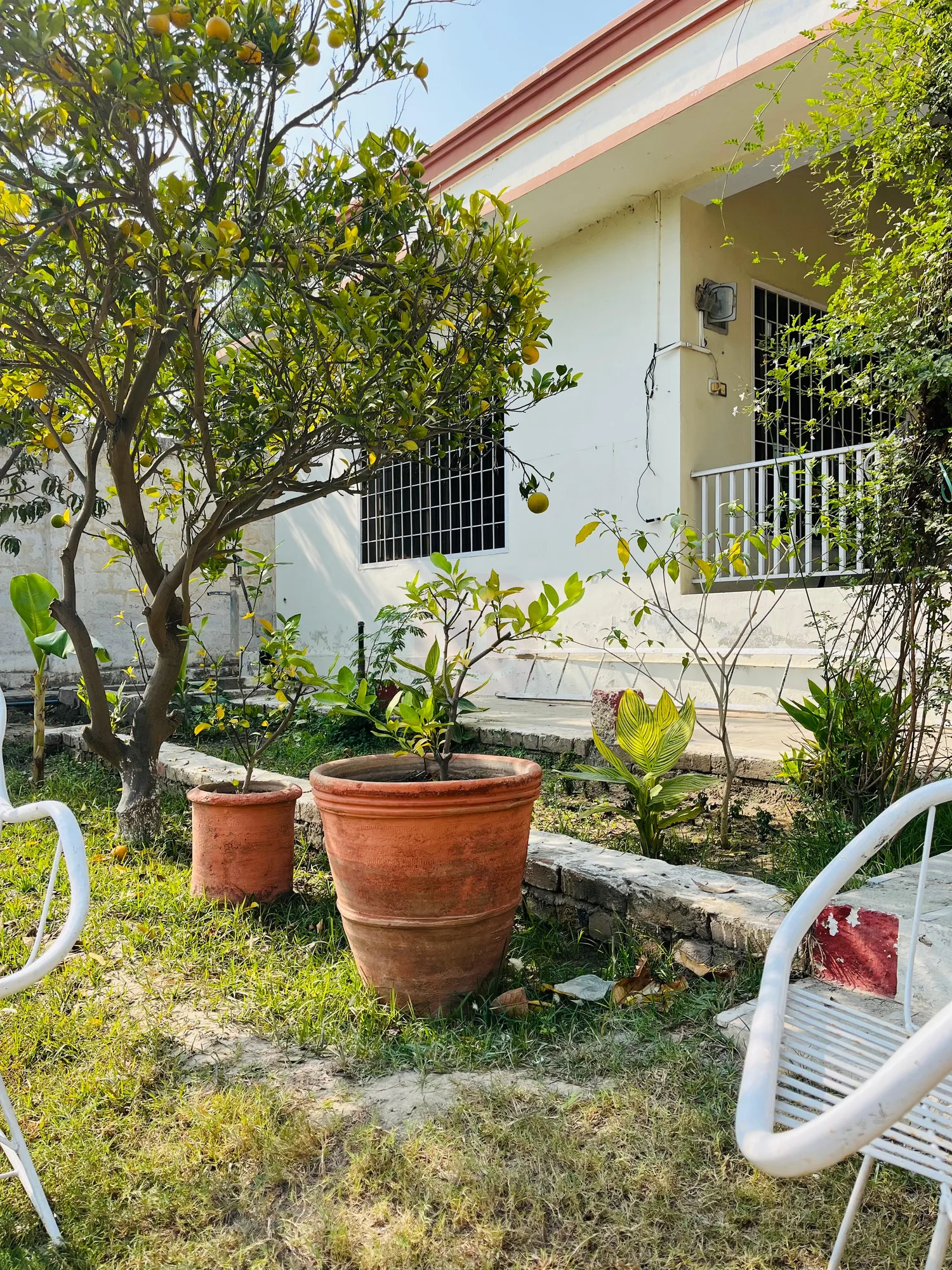 6.5 Kanal Farm house