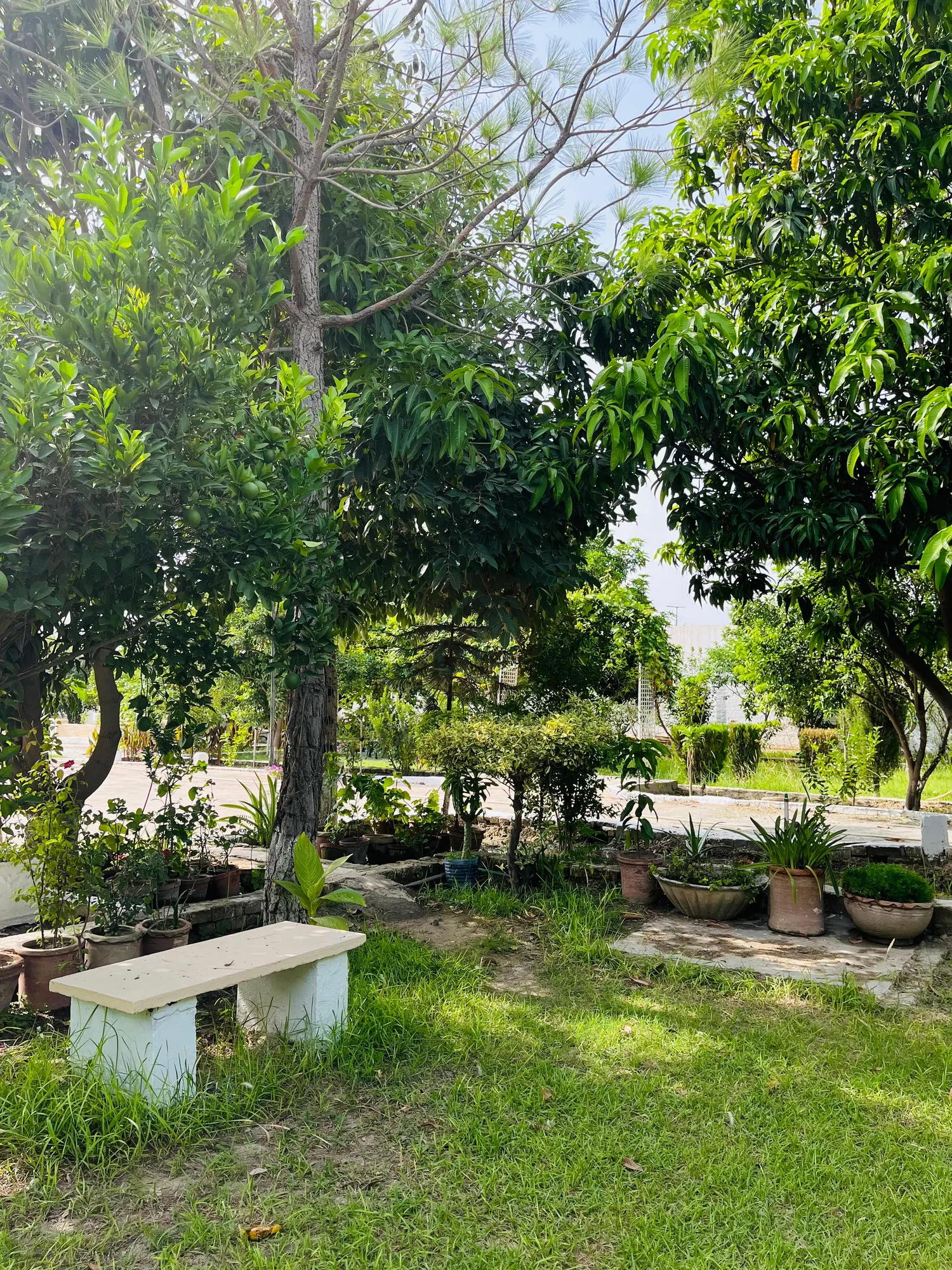6.5 Kanal Farm house