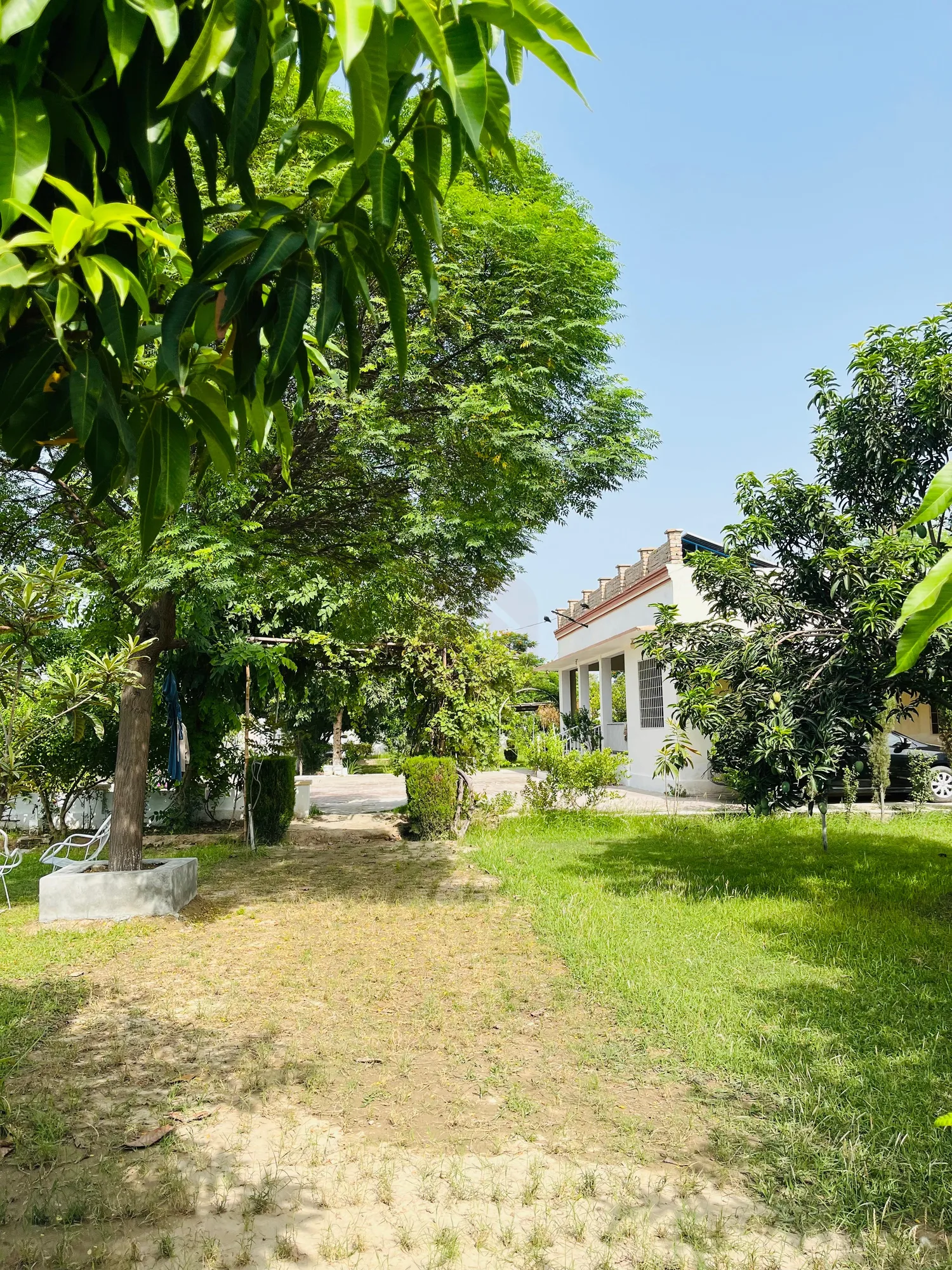 6.5 Kanal Farm house
