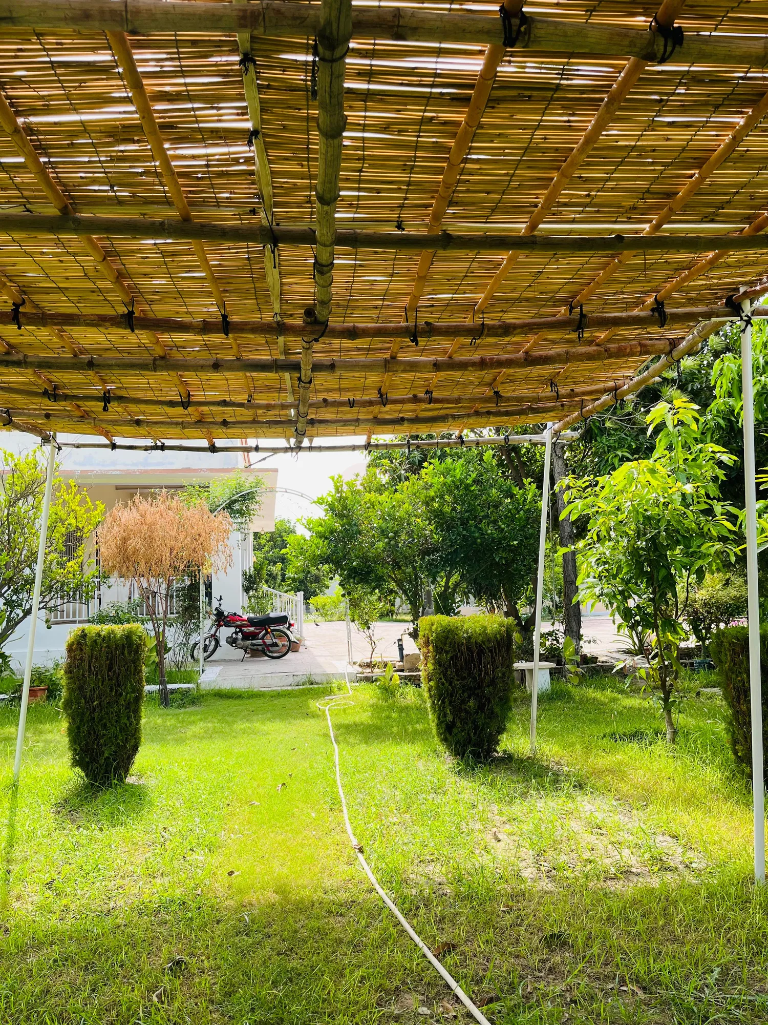 6.5 Kanal Farm house
