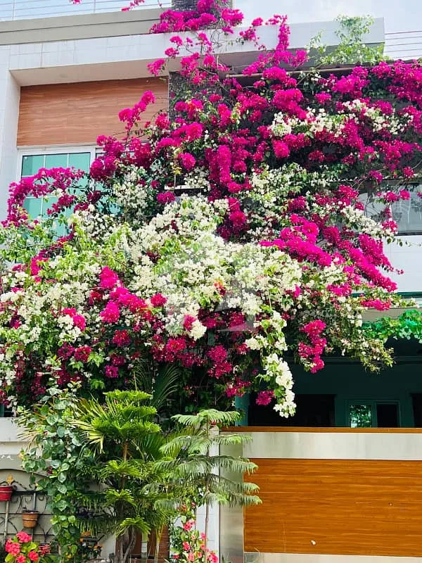 Exceptional 9.5 Marla Boulevard House Available in Bahria Enclave Islamabad