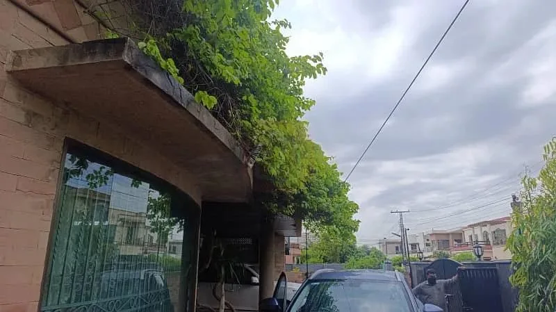 Spanish Design 5-Bedroom Bungalow with Solar System in DHA Lahore